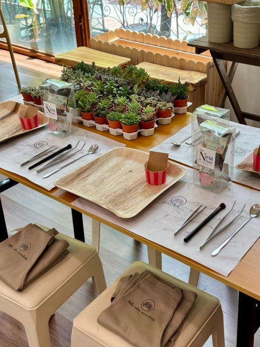 A Day at Little Eden Succulents: What It’s Like to Join a Workshop