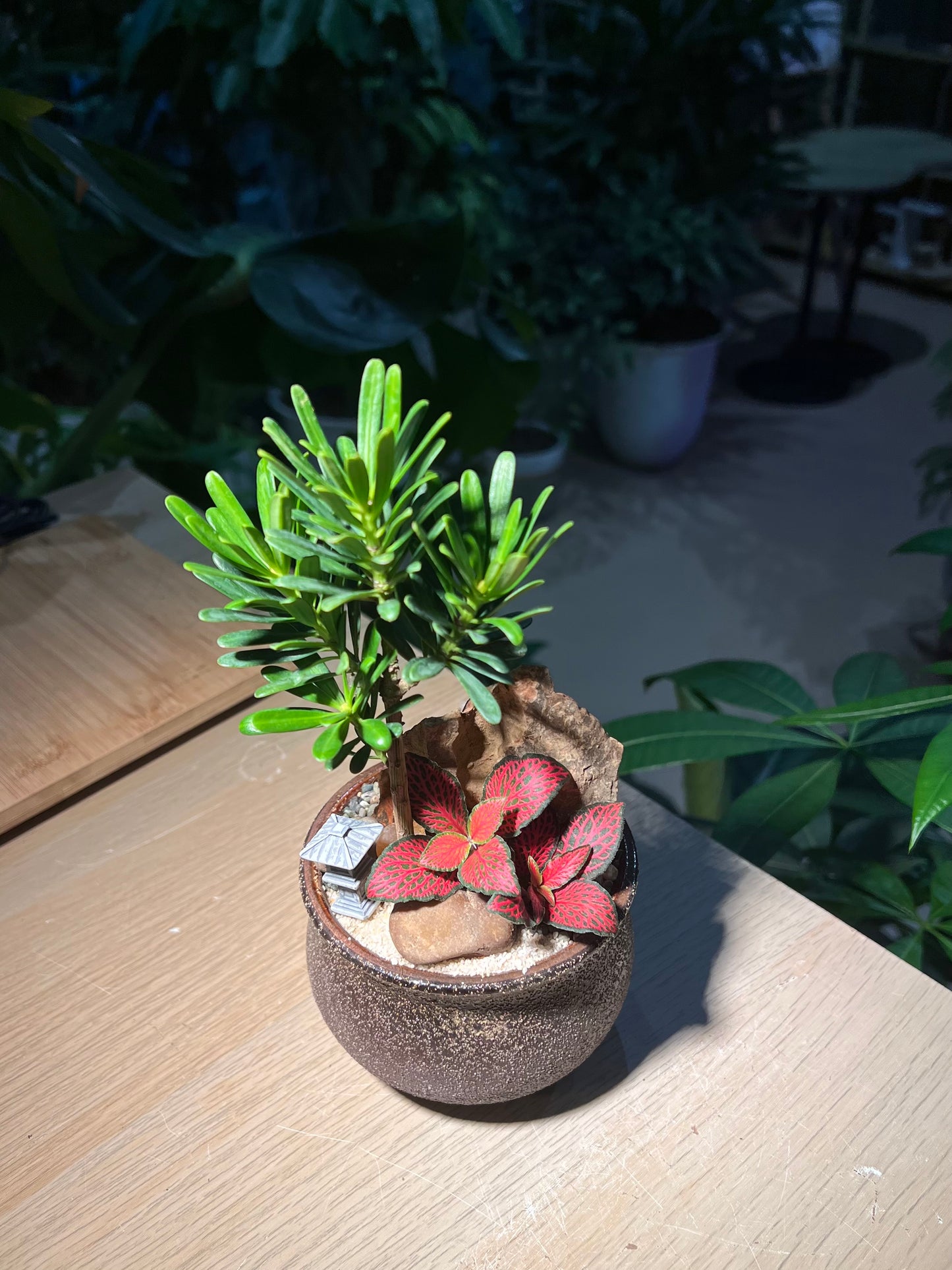 Indoor Plant Arrangement in Brownish Ceramic Pot