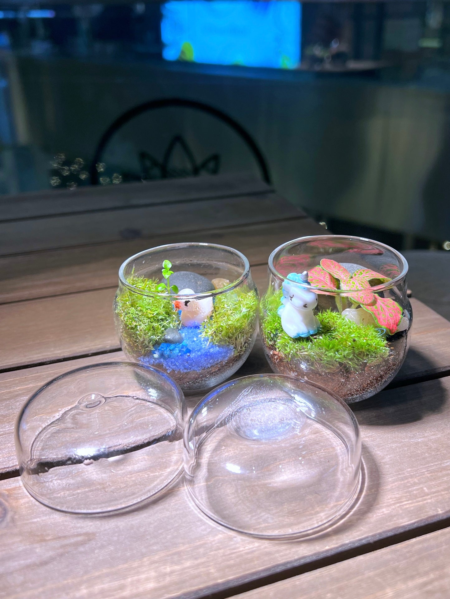 Moss with or without Fittonia in Tea Glass Terrarium