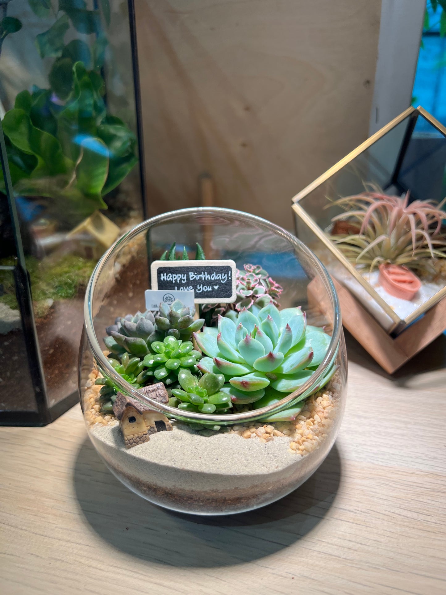 Succulent Terrarium in Slanted Glass
