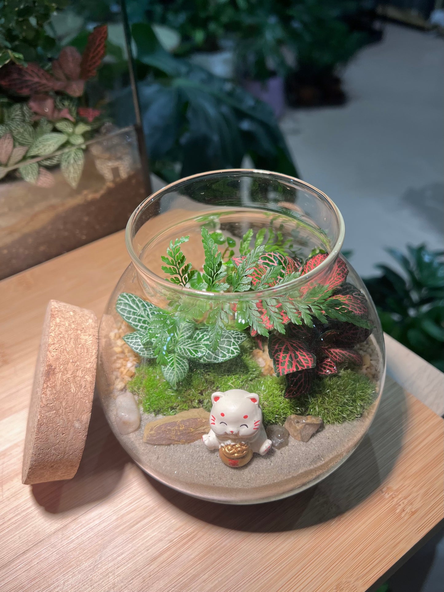 CNY Theme - Fittonia and Fern with Moss Arrangement in Round Covered Glass (M)