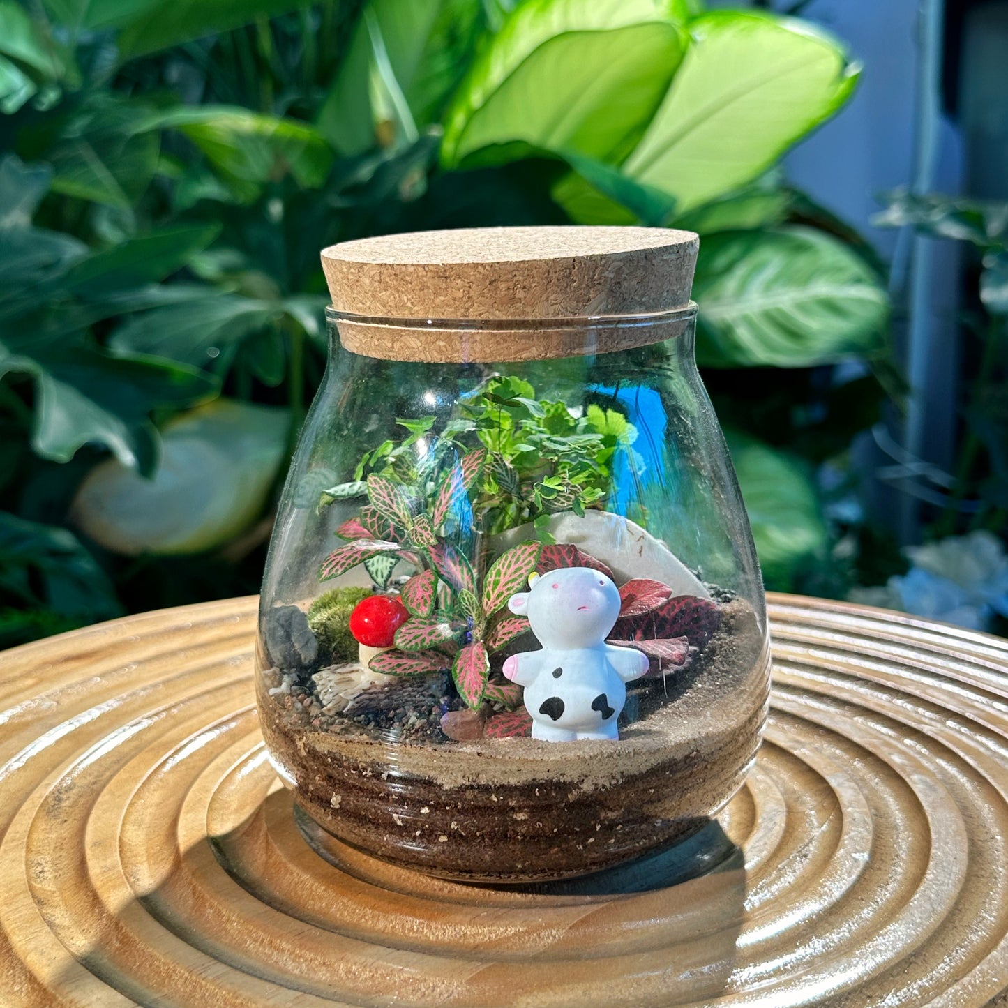 Fittonia & Fern with Moss Arrangement in Water Drop (S)