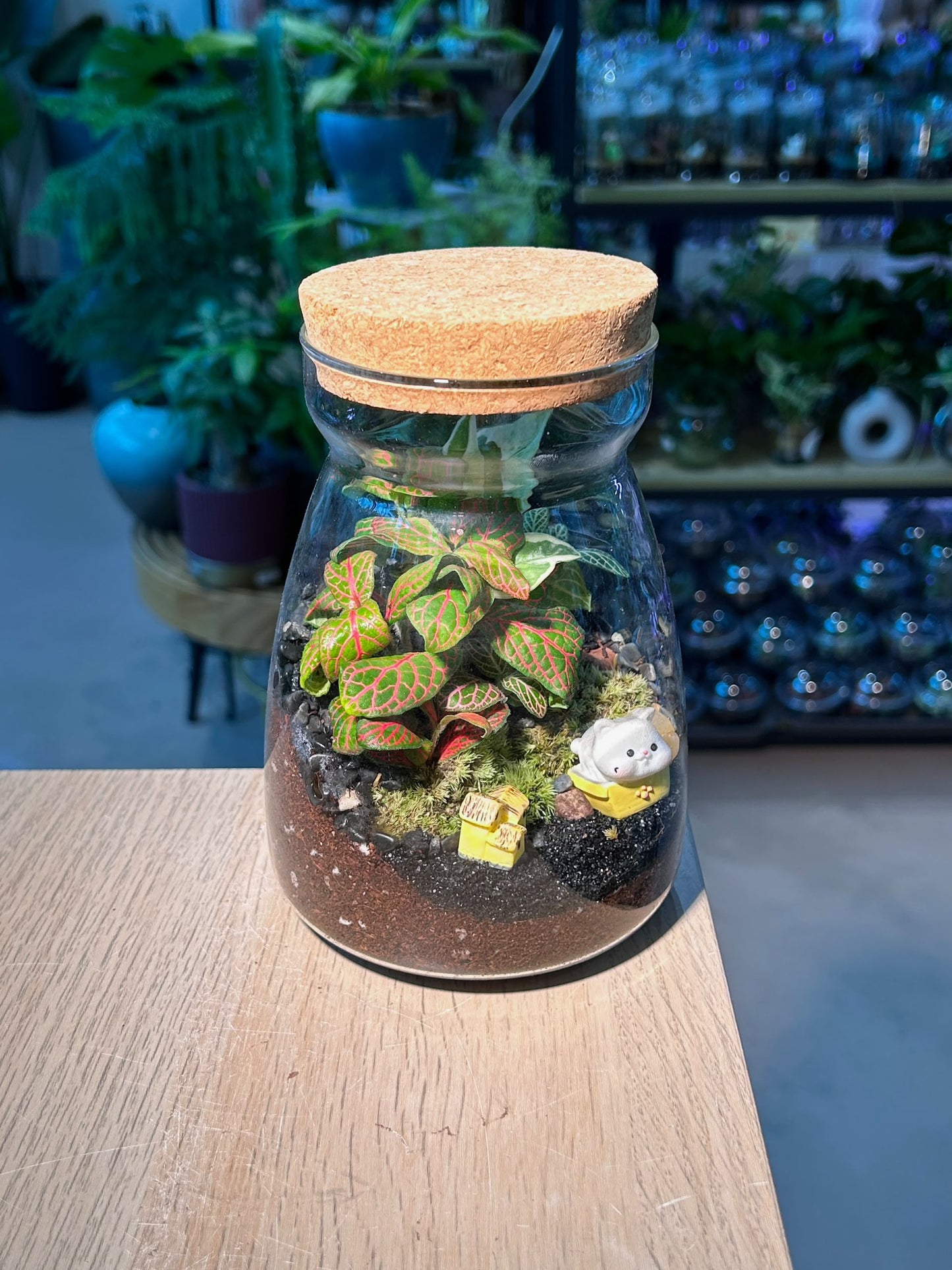 Indoor Plant Arrangement Fittonia & Moss & Njoy (η½ηΊΉθ & θθ & εζ¦θ) in A Line Glass