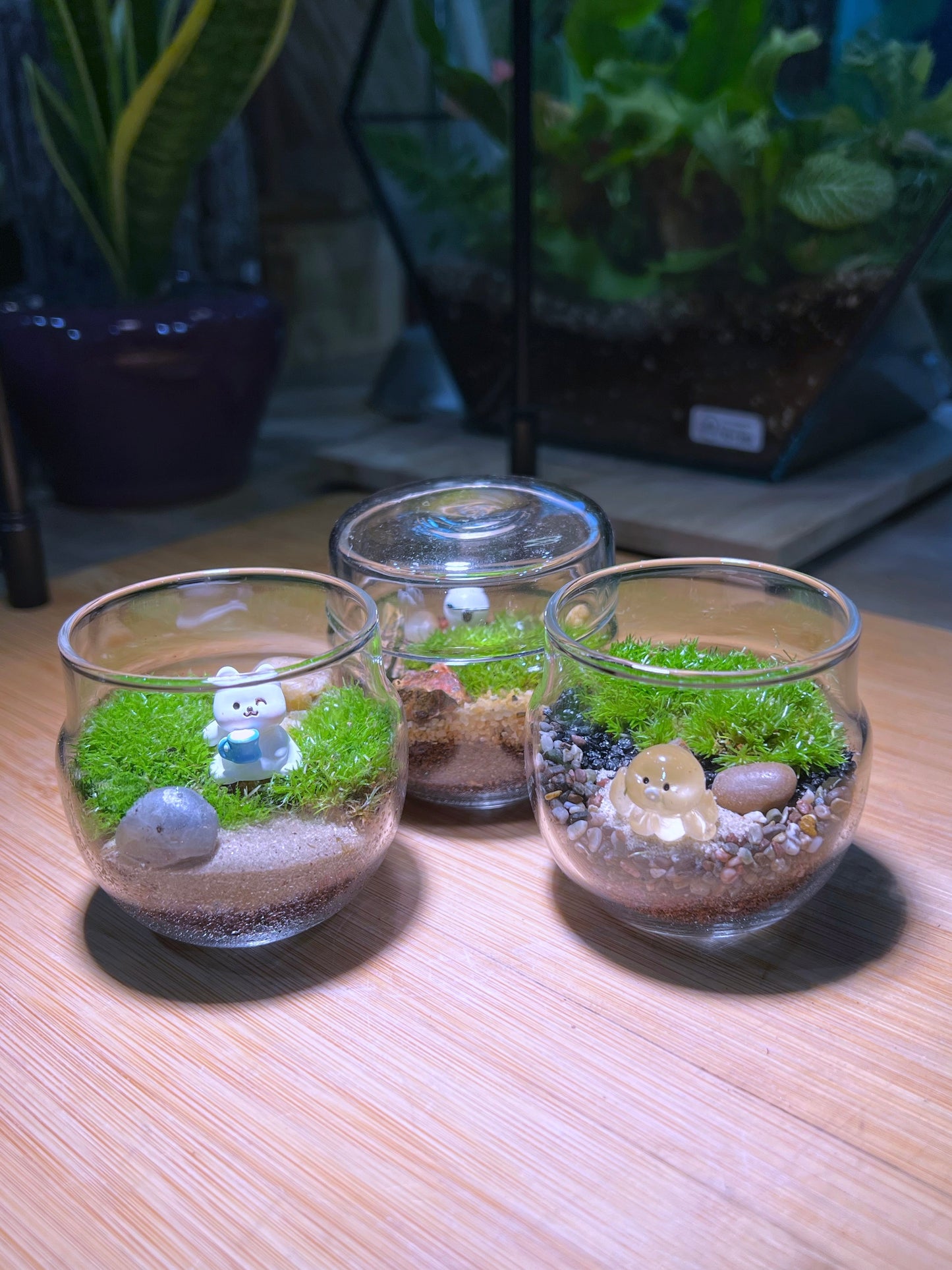 Moss Arrangement in Tea Glass Terrarium (S)