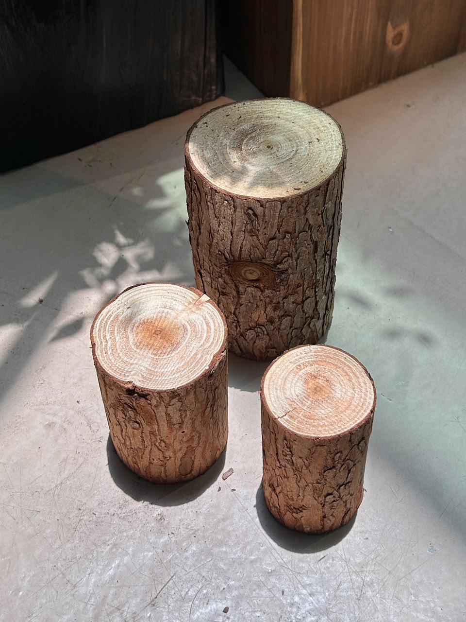 Woodlog Tall Pedestal (εζ¨εΊεΊ§) Natural Wood Stump Display Stand