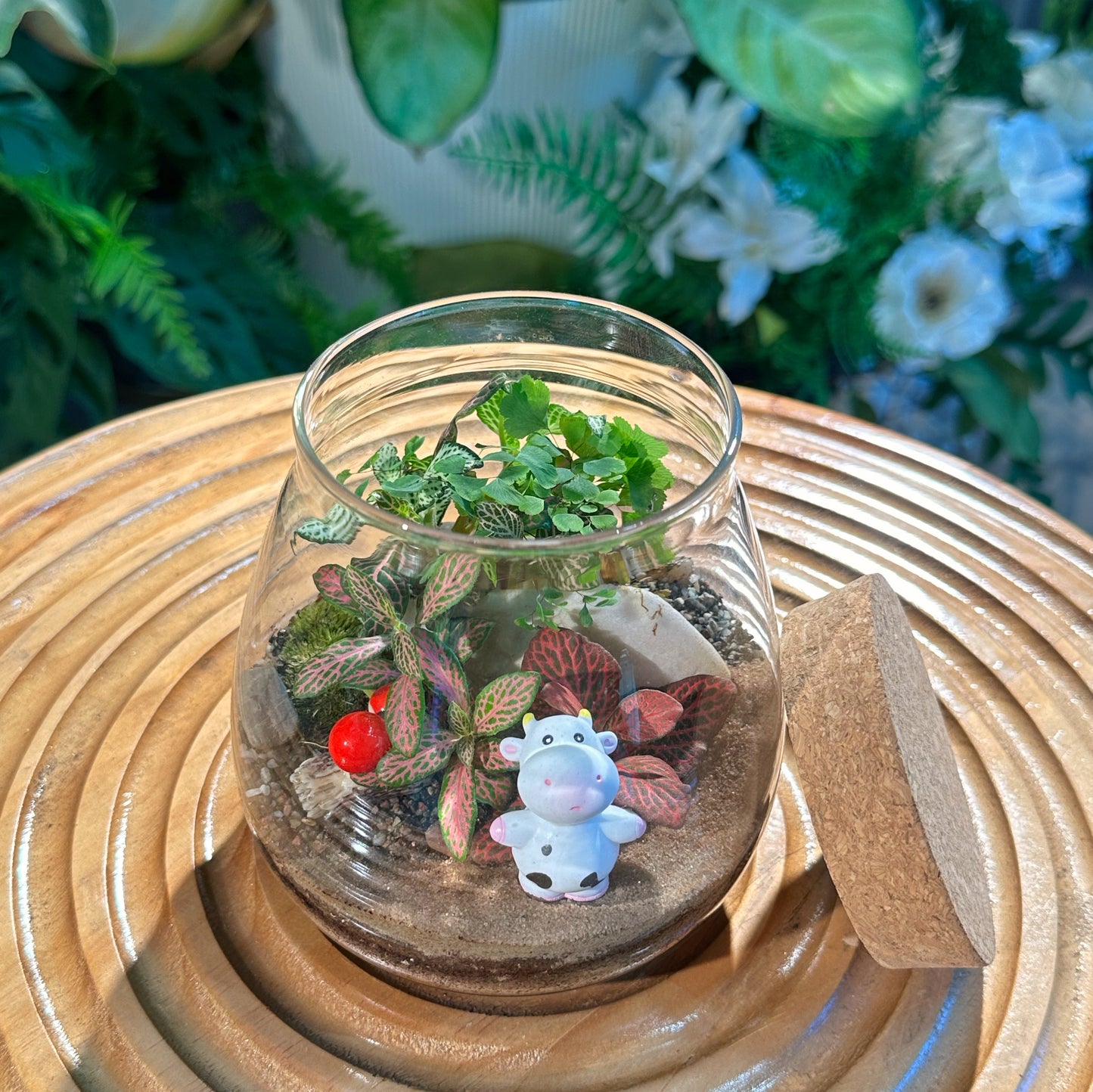 Fittonia & Fern with Moss Arrangement in Water Drop (S)