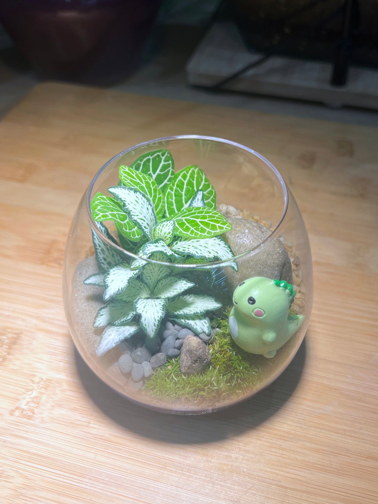 Fittonia with Moss Arrangement in Wine Glass