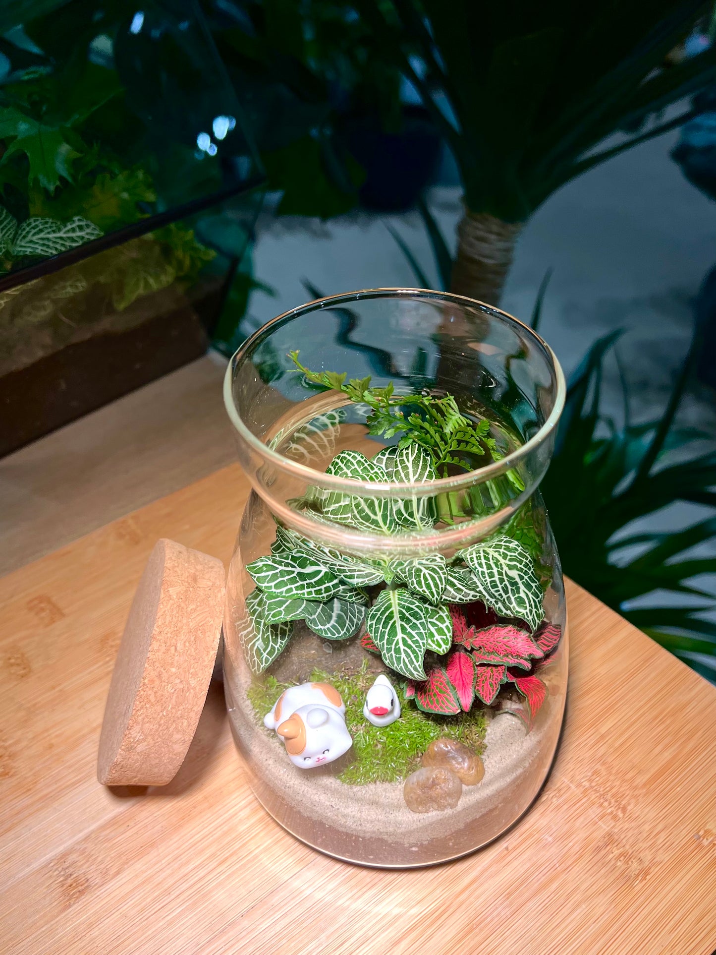 Fittonia and Fern with Moss Arrangement in Cover A Line Jar Glass