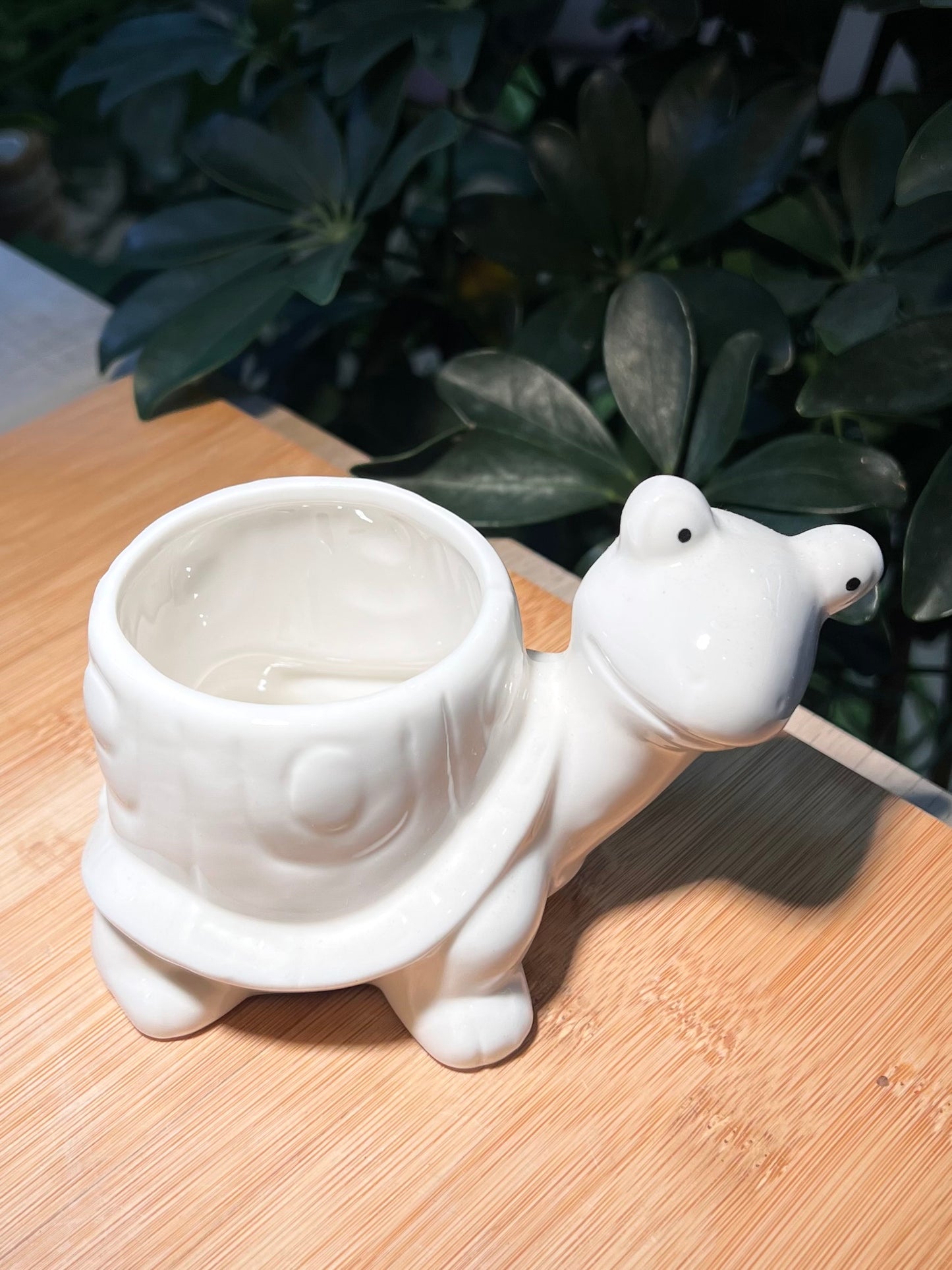 Heavy Shell Snail Ceramic Pot