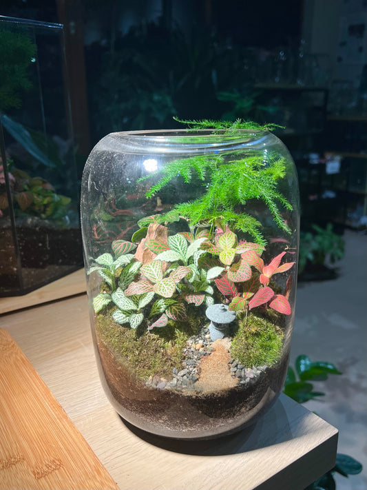 Fittonia, Asparagus Fern with Moss Arrangement in Tall Fishbowl without Lid