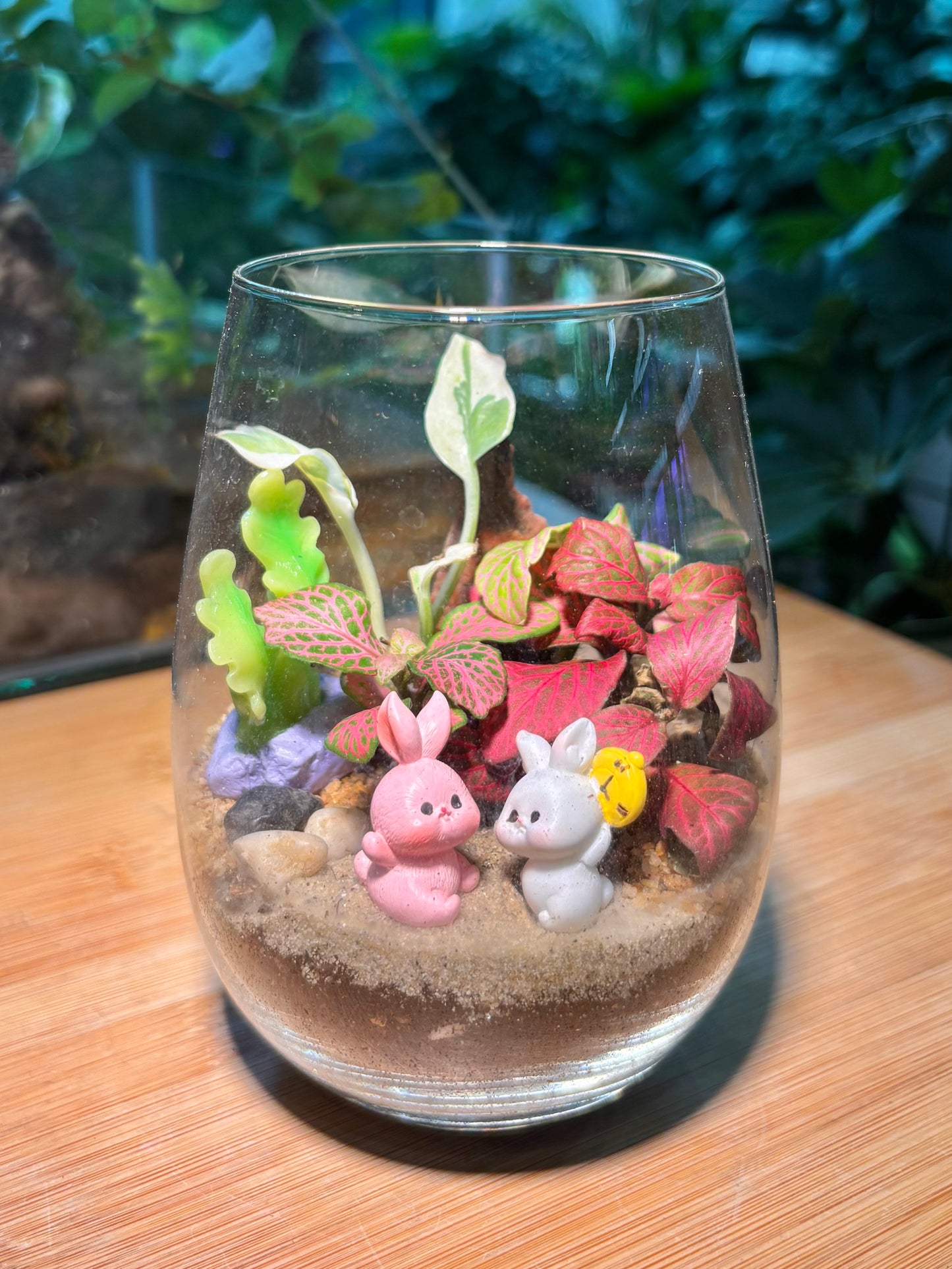 Fittonia and Fern Arrangement in Tall Glass Terrarium