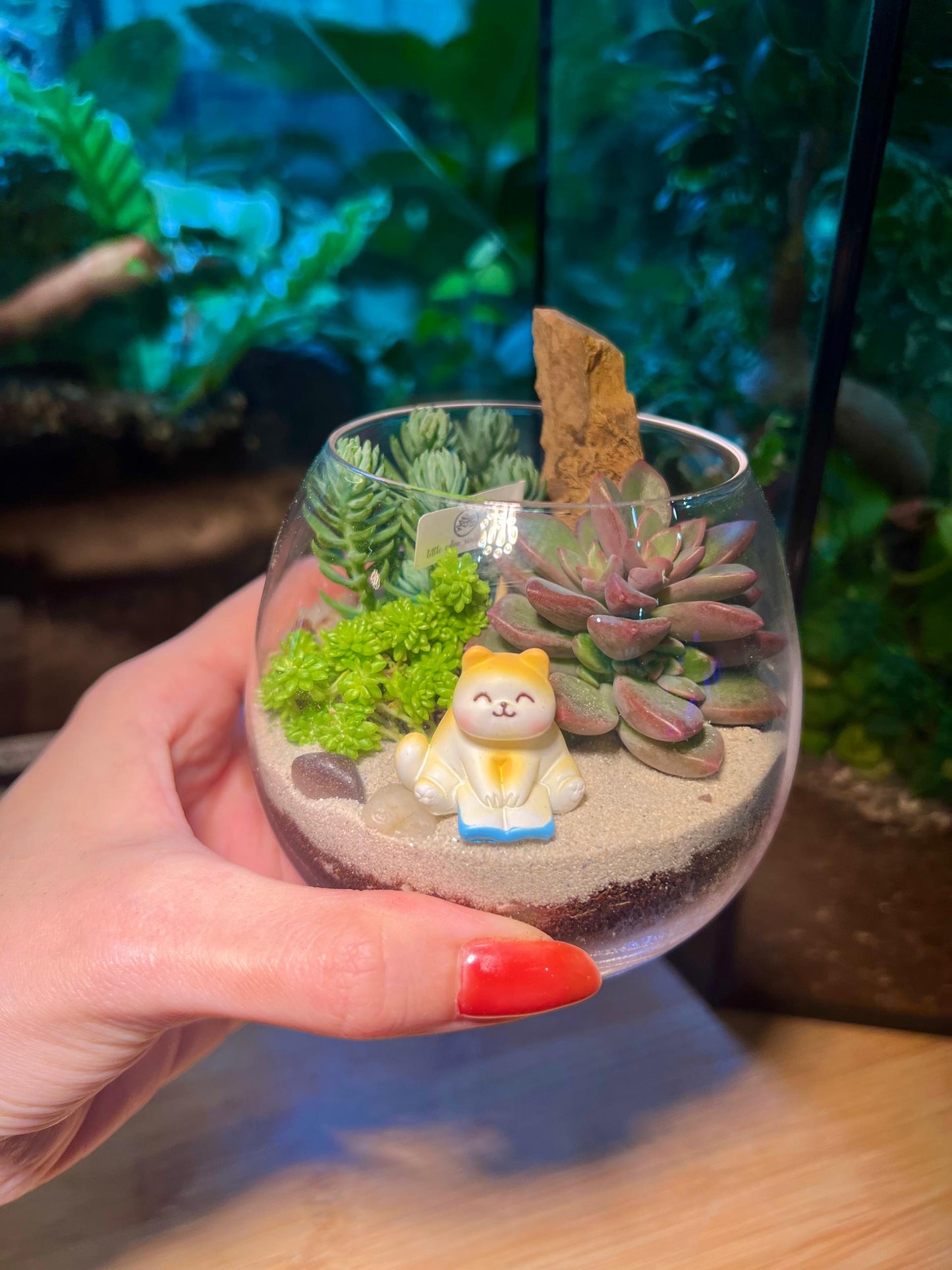 Succulent Arrangement in Wine Glass