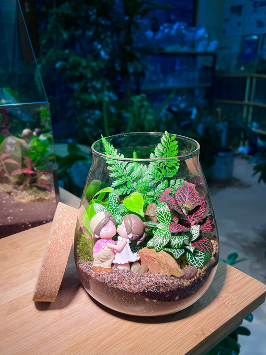 Valentine Gift - Fittonia and Fern with Moss Arrangement in Water Drop Glass with Lid (S)