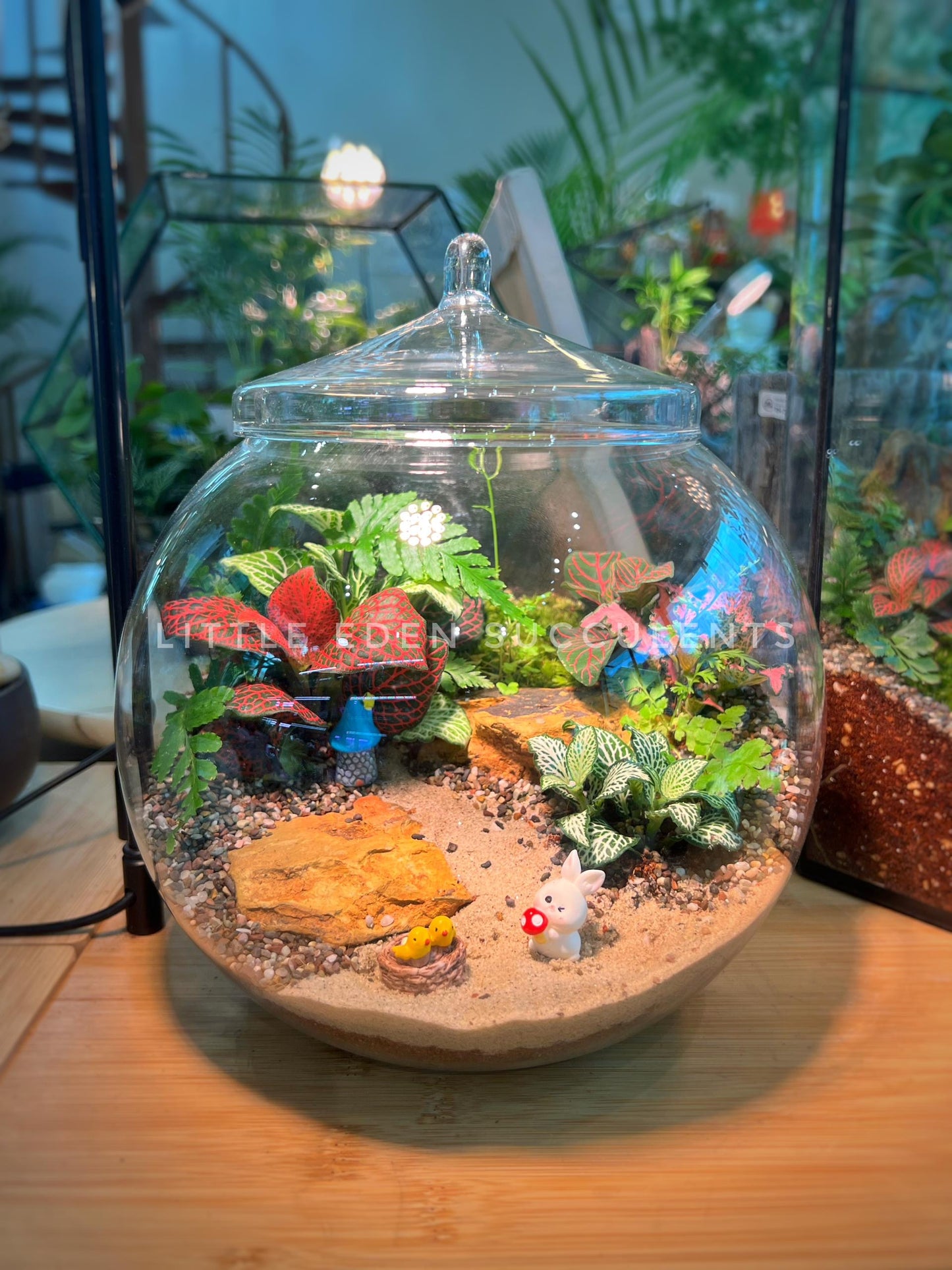 Fittonia & Fern with Moss Arrangement in Fishbowl with Lid