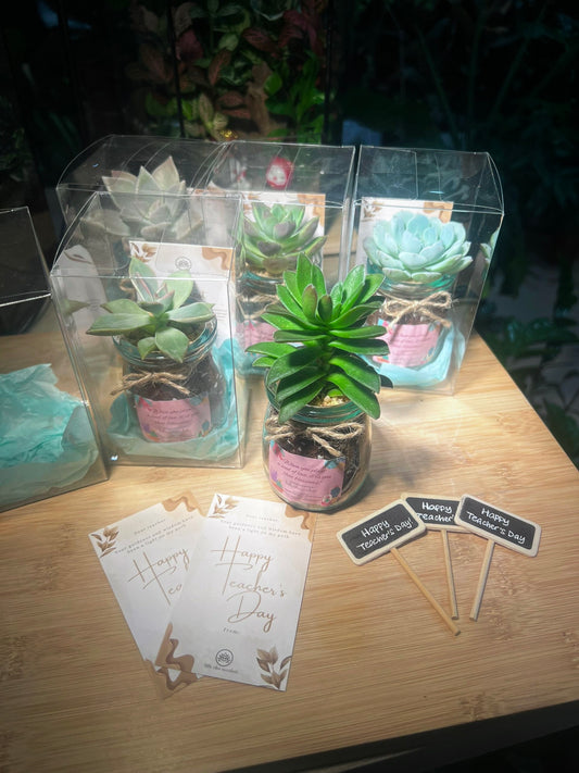 Teacher’s Day Gift - Succulent in Pudding Jar with Blackboard in PVC Box (5pcs/set)