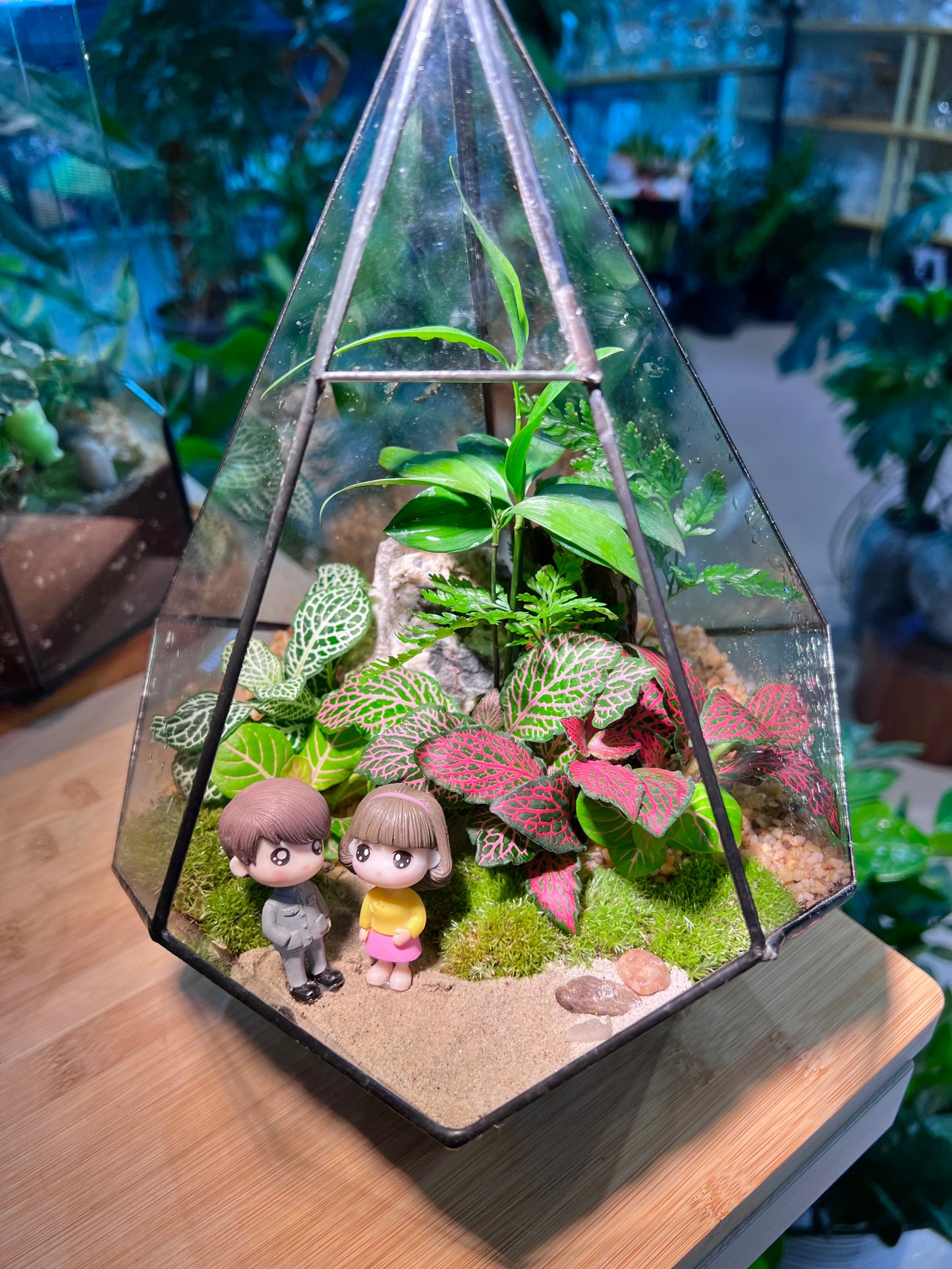 Valentine Gift - Fittonia and Fern with Moss Arrangement in Diamond Glass without Lid