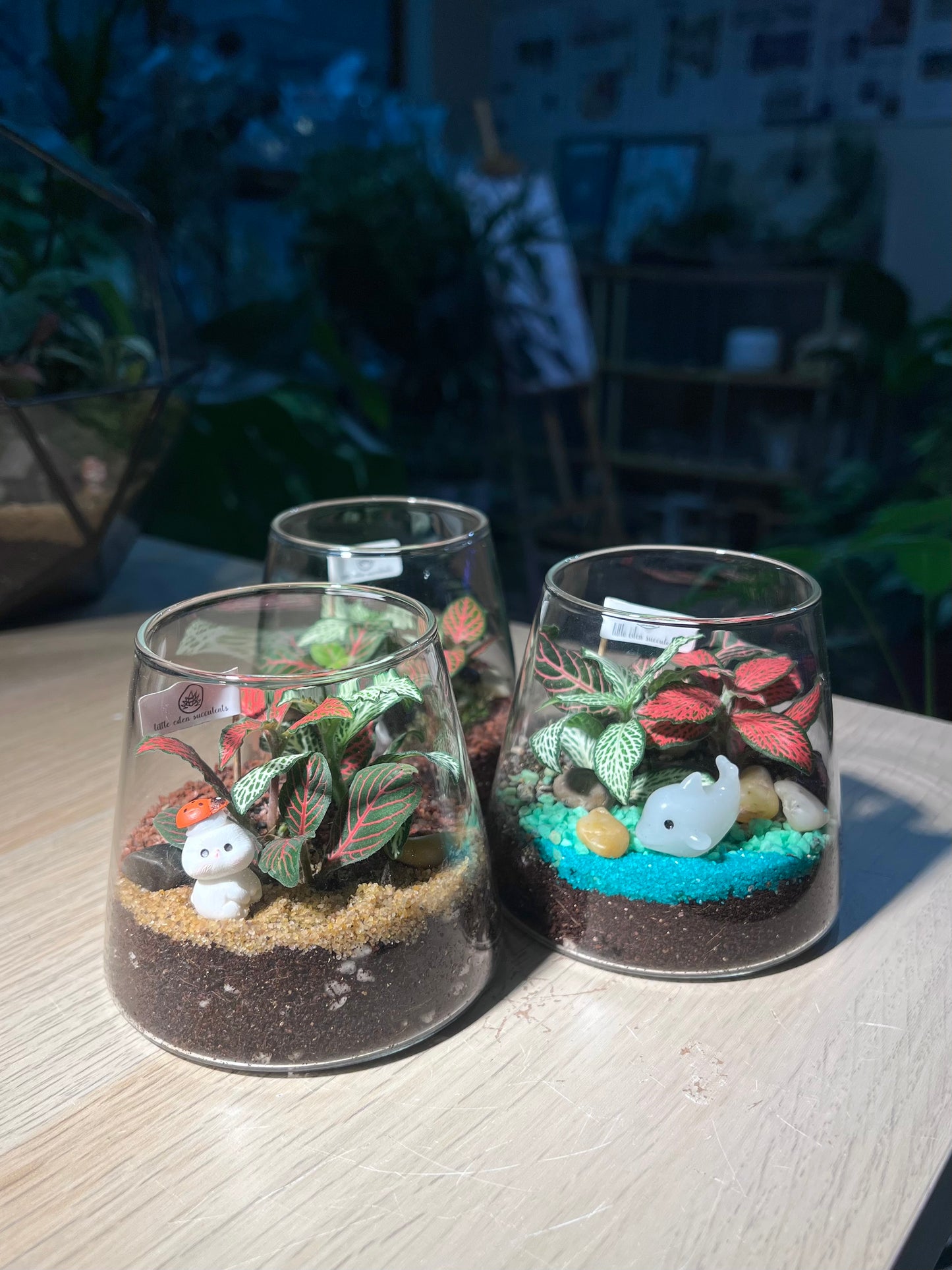 Door Gift - Indoor Plant Terrarium in Fuji Glass (10pcs/set)