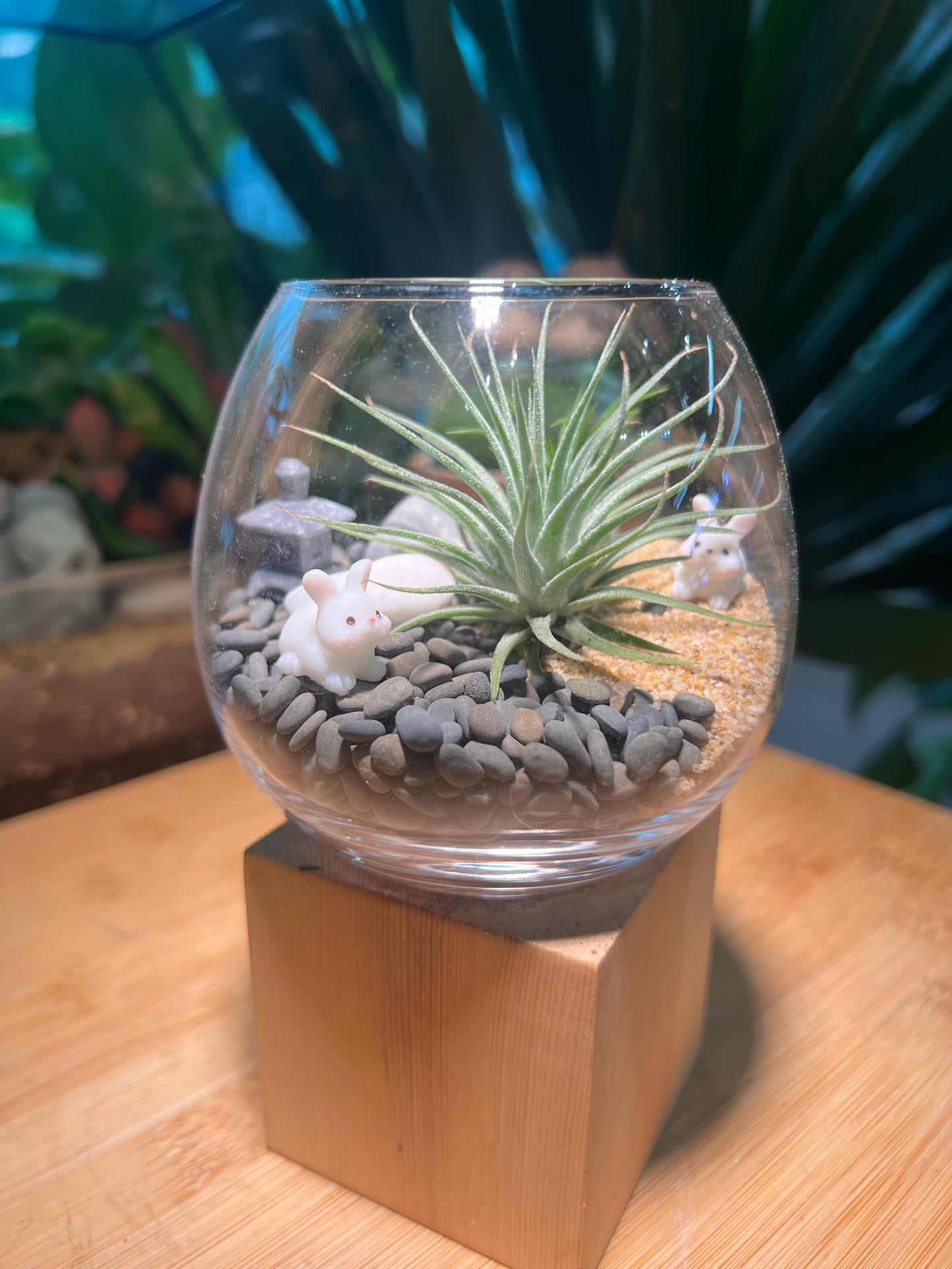 Airplant in Wine Glass with Rabbits