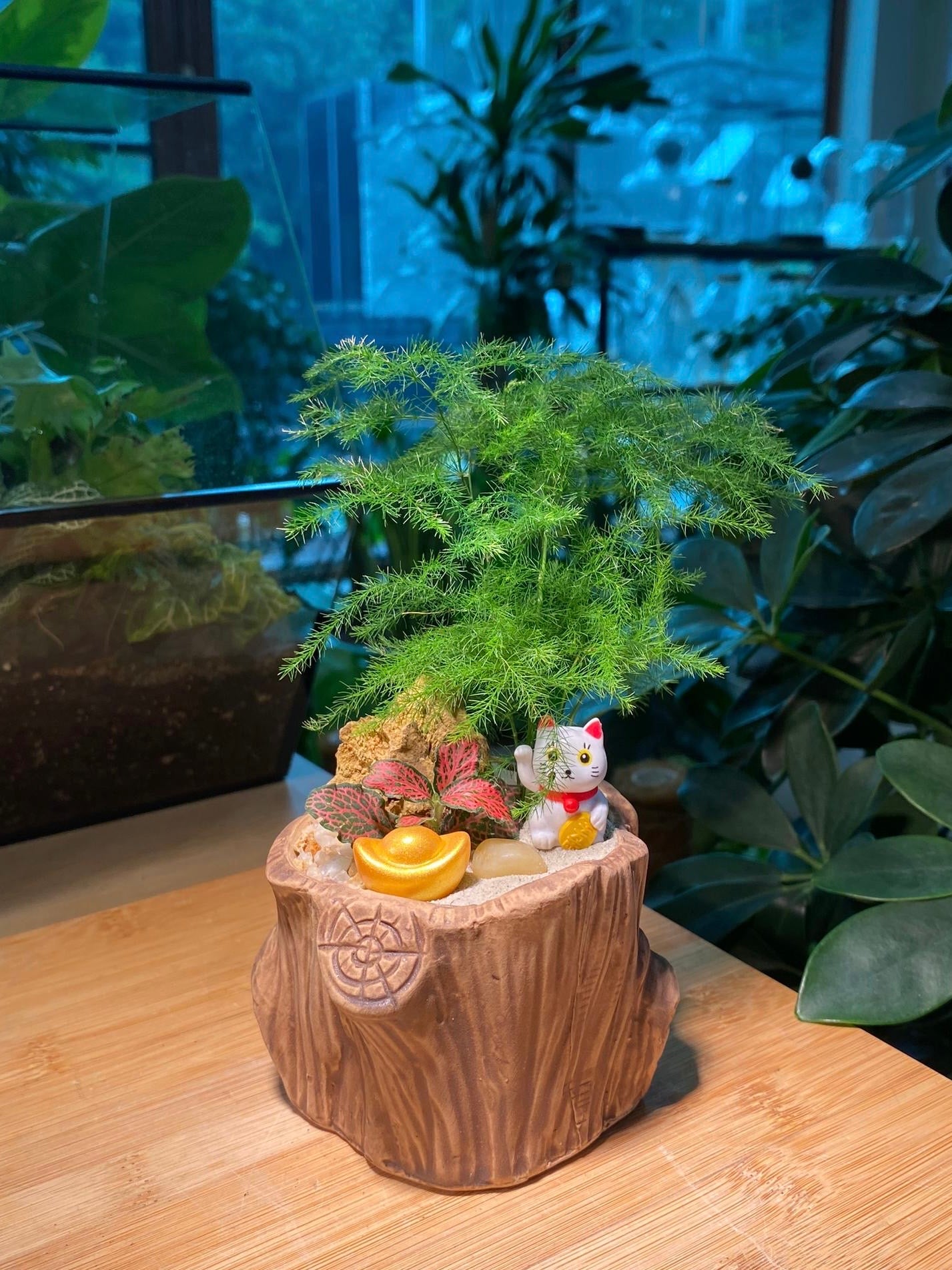 Fittonia with Asparagus Fern Arrangement in Tree Trunk Designer Pot