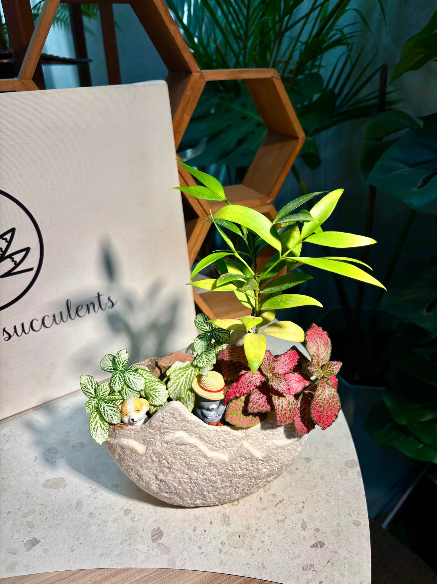 Fittonia & Nageina Nagi Arrangement in Adore Pot ☁️