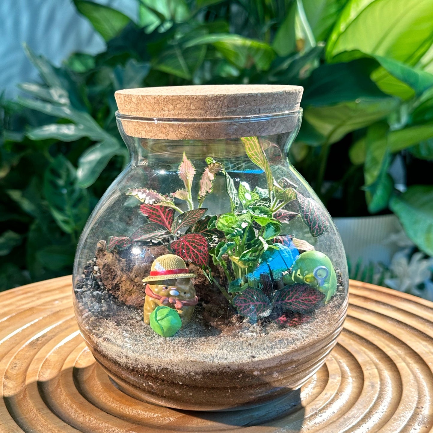 Fittonia & Fern Arrangement in Round Covered Glass (M)