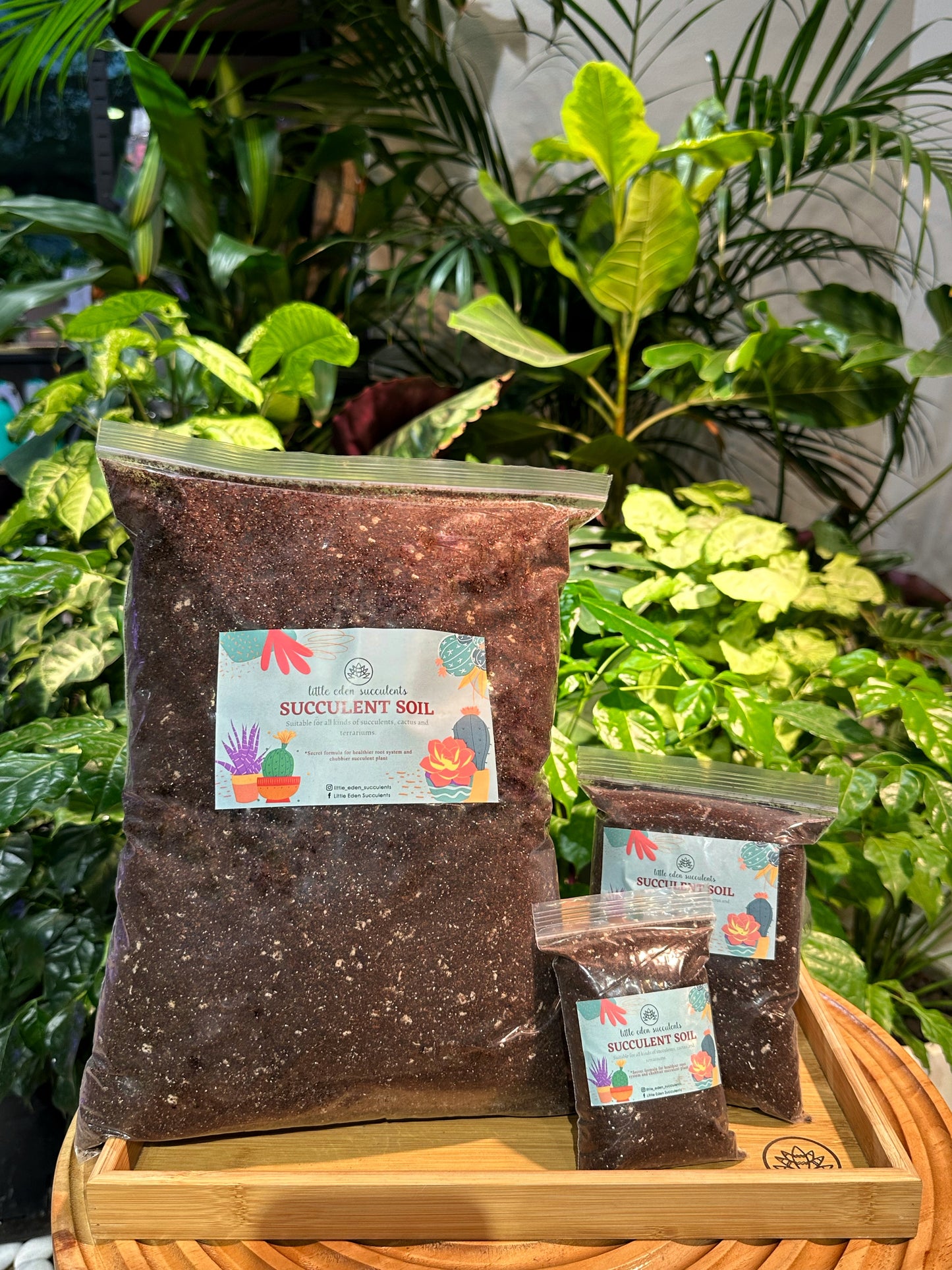 LES Formula Succulent Soil