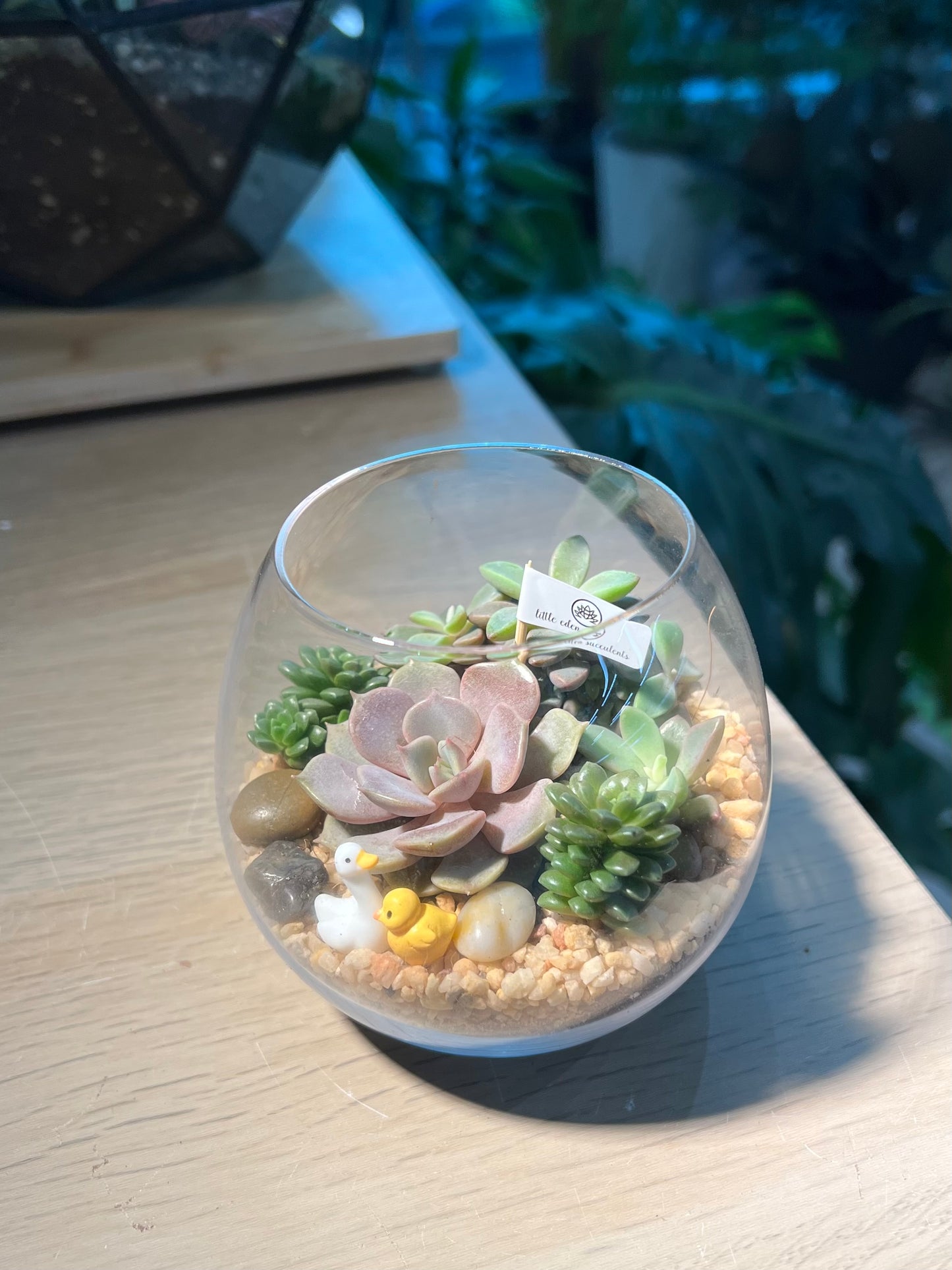 Succulent Arrangement in Crystal Glass Terrarium