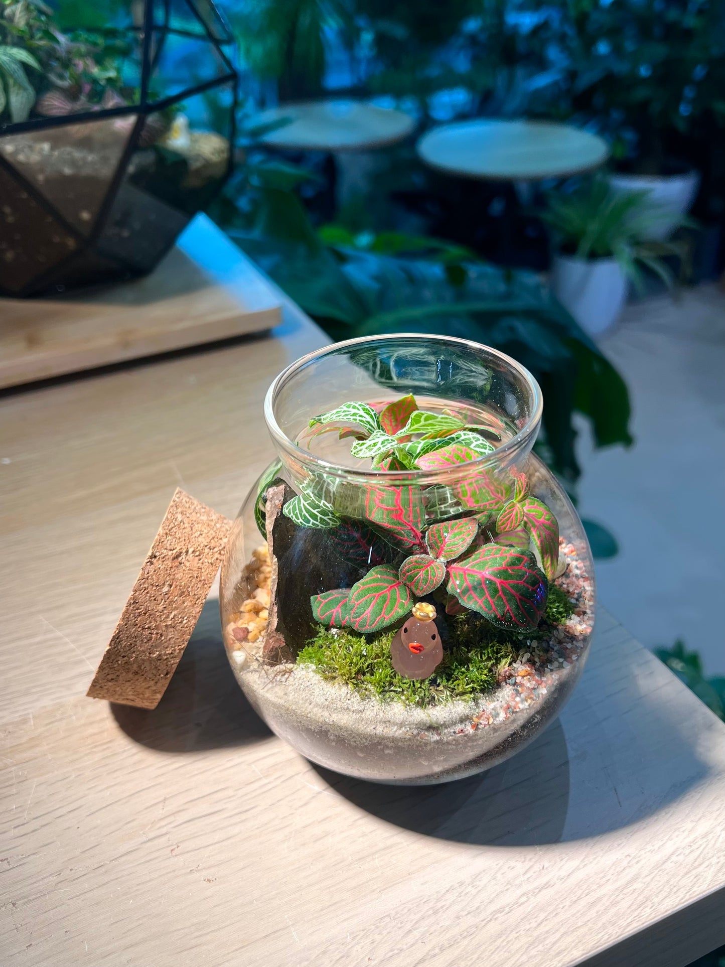 Fittonia with Moss (Indoor Plant) Arrangement in Round Covered Glass (S)