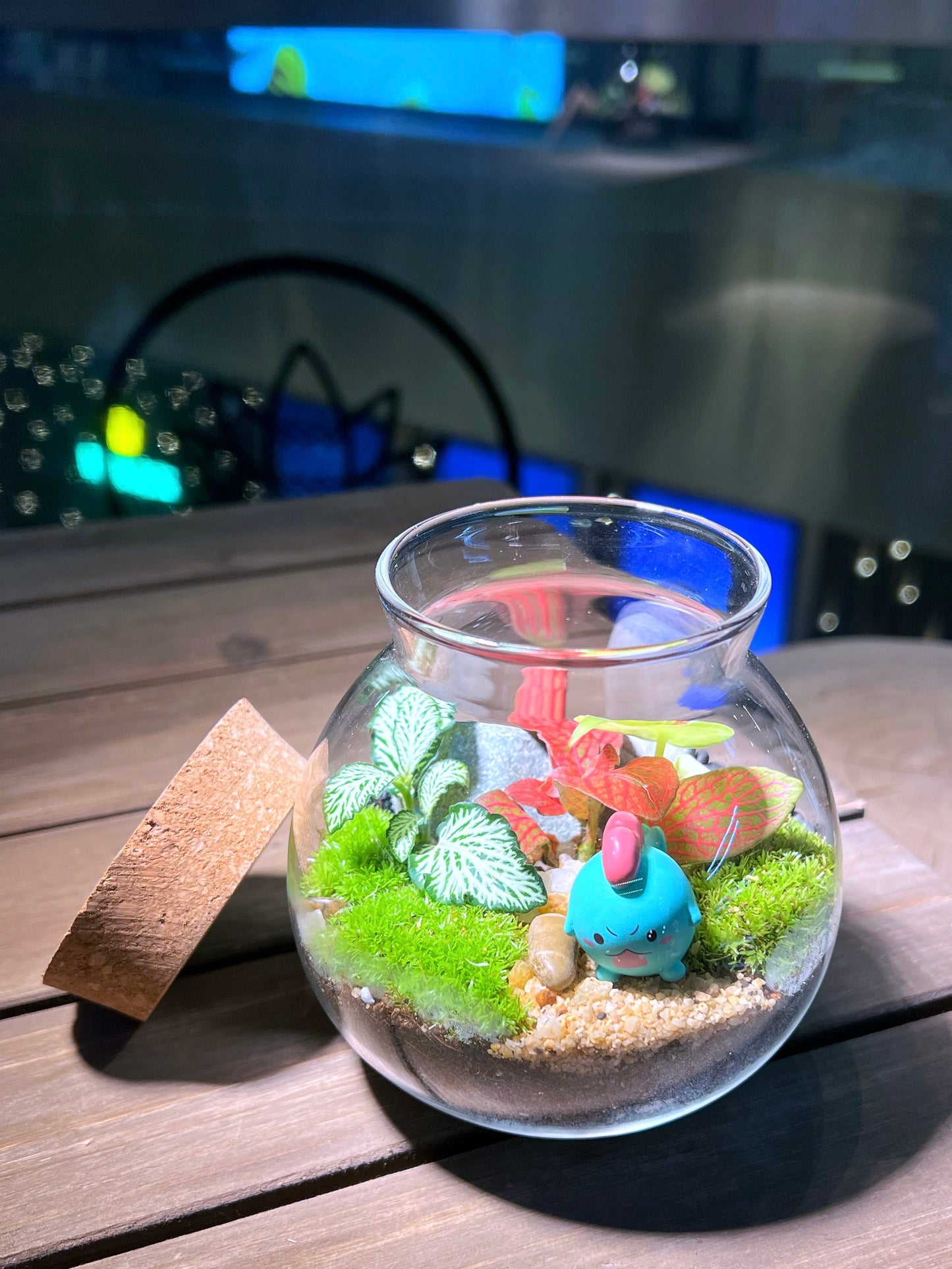 Fittonia with Moss Arrangement in Round Covered Glass (S) Terrarium
