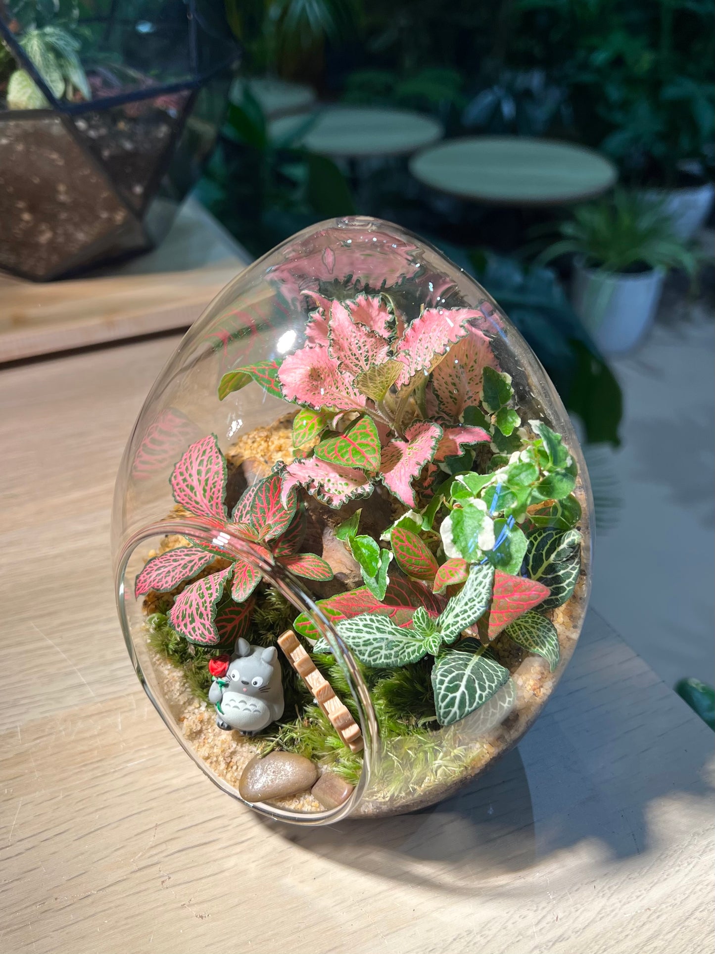 Fittonia with Moss (Indoor Plant) Arrangement in Eggette Glass Terrarium (M)