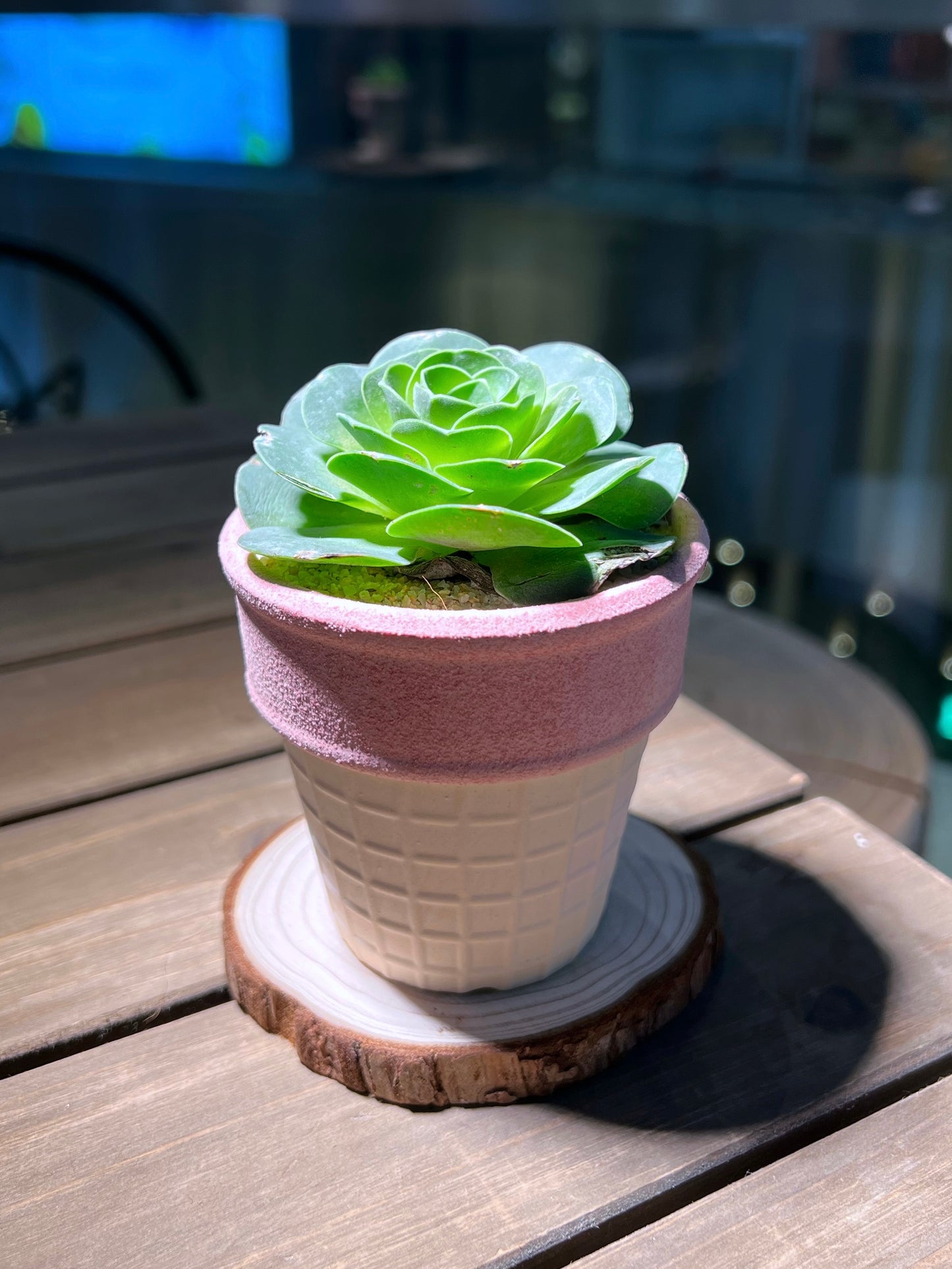 Mountain Rose in Pinkish Ice Cream Designed Pot
