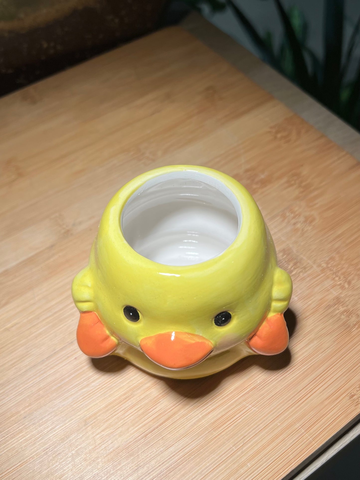 Yellowish Duckie Ceramic Pot