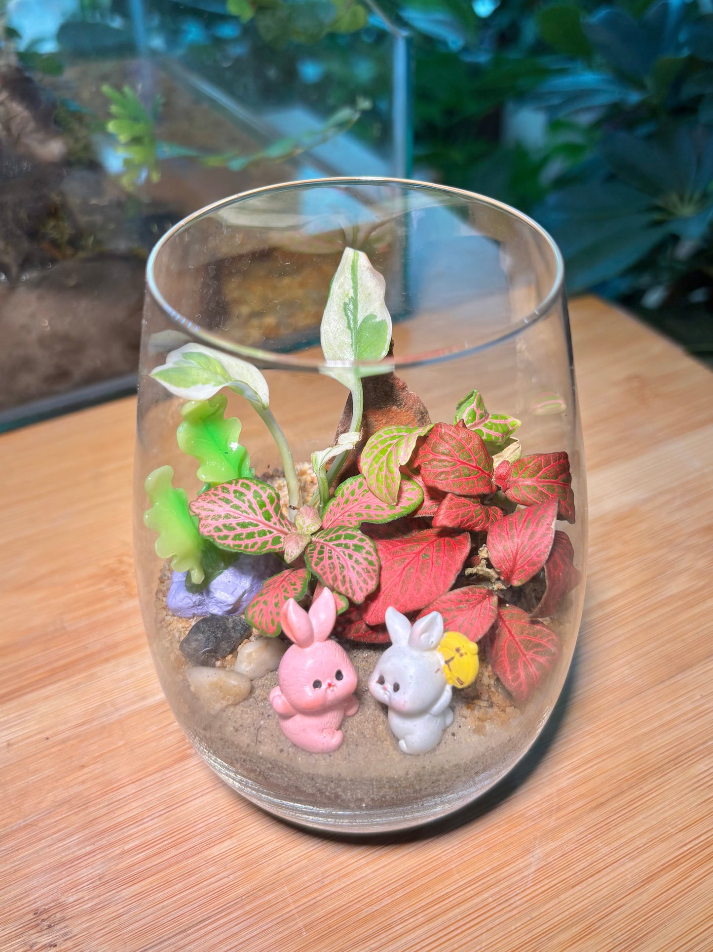 Fittonia and Fern Arrangement in Tall Glass Terrarium