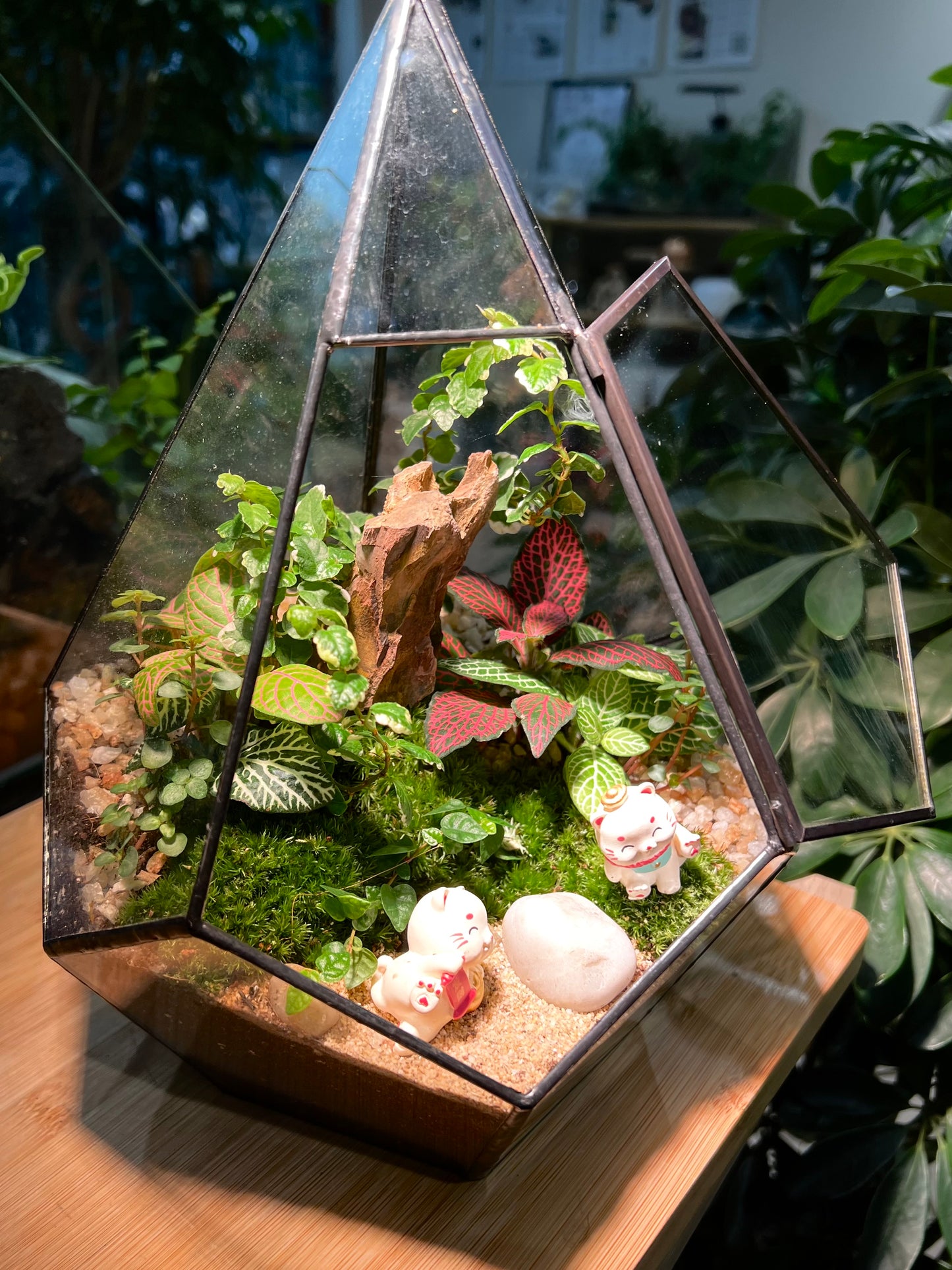 Fittonia & Fern with Moss Arrangement in Diamond Glass Terrarium (L)