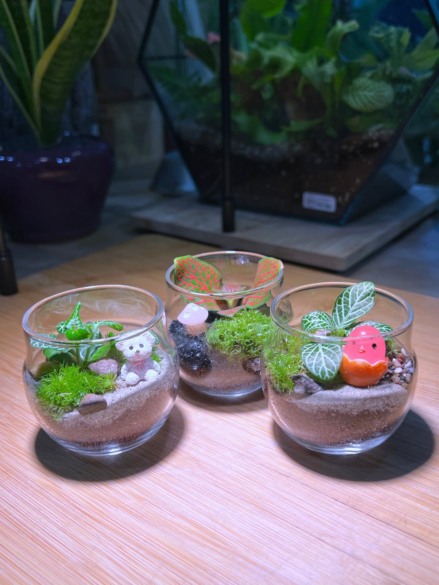 Fittonia with Moss Arrangement in Tea Glass Terrarium (S)