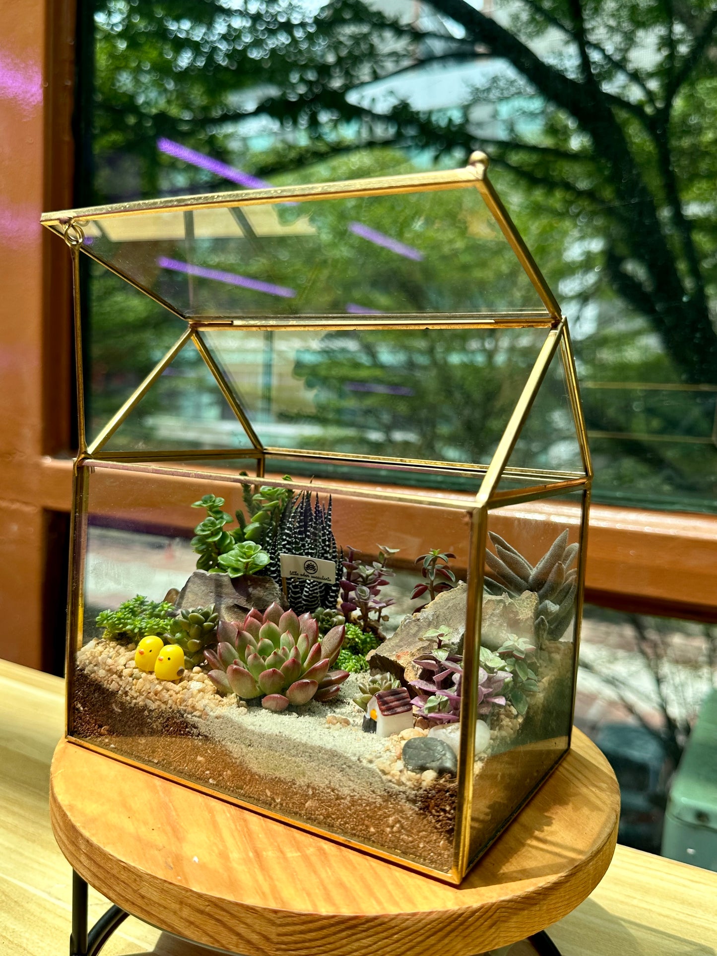 Succulent Arrangement in Golden Frame Glasshouse Terrarium