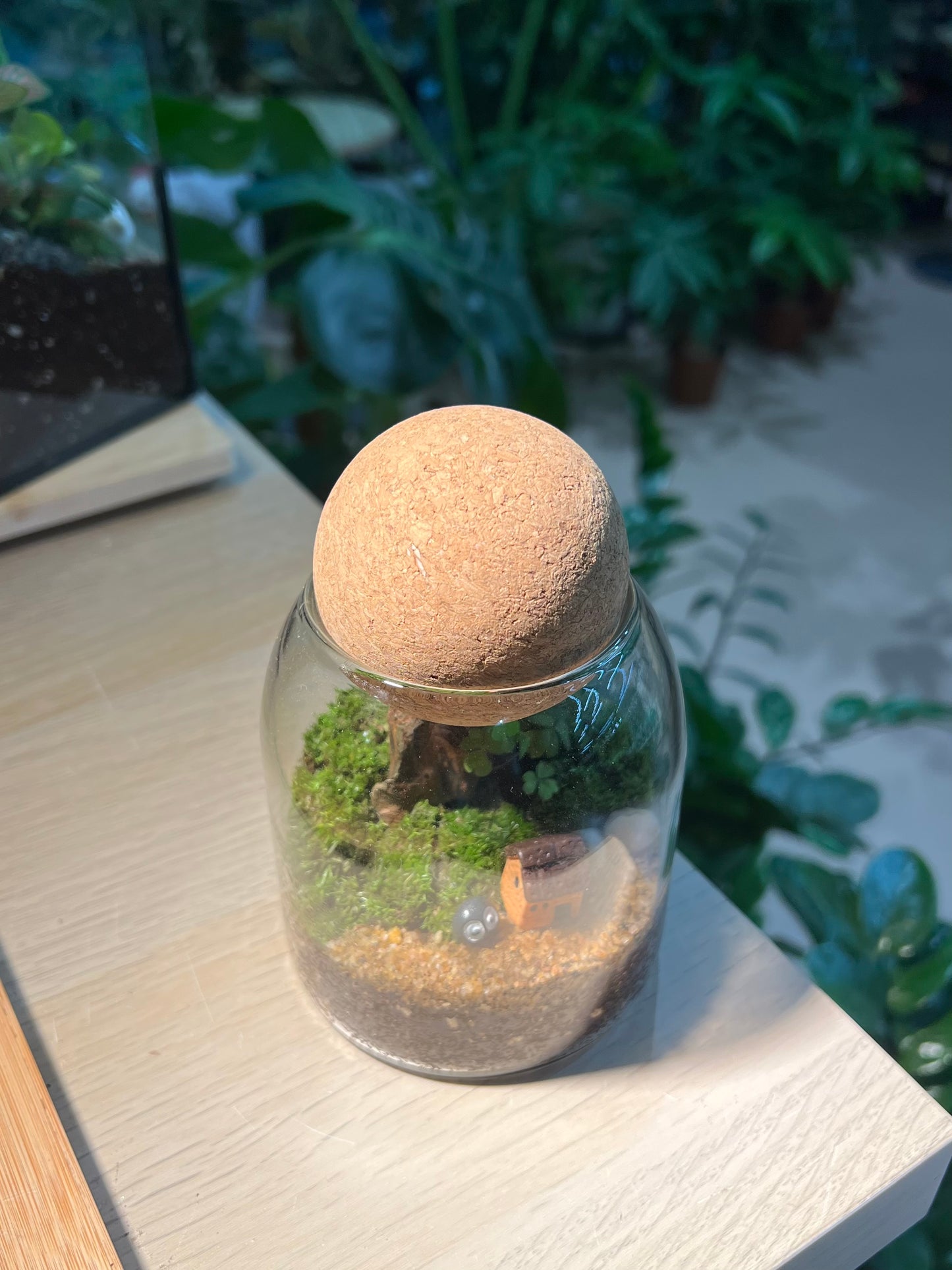 Moss Arrangement in Cylindrical Glass with Cork Ball Terrarium (S)