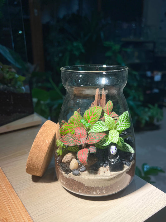 Fittonia Arrangement in Cover A Line Jar Glass Terrarium