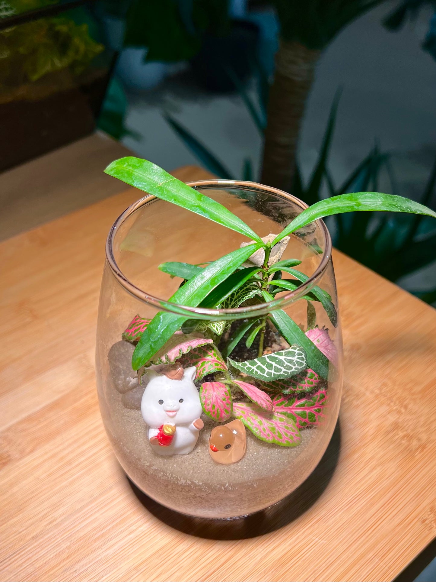 Fittonia and Podocarpus Arrangement in Tall Glass