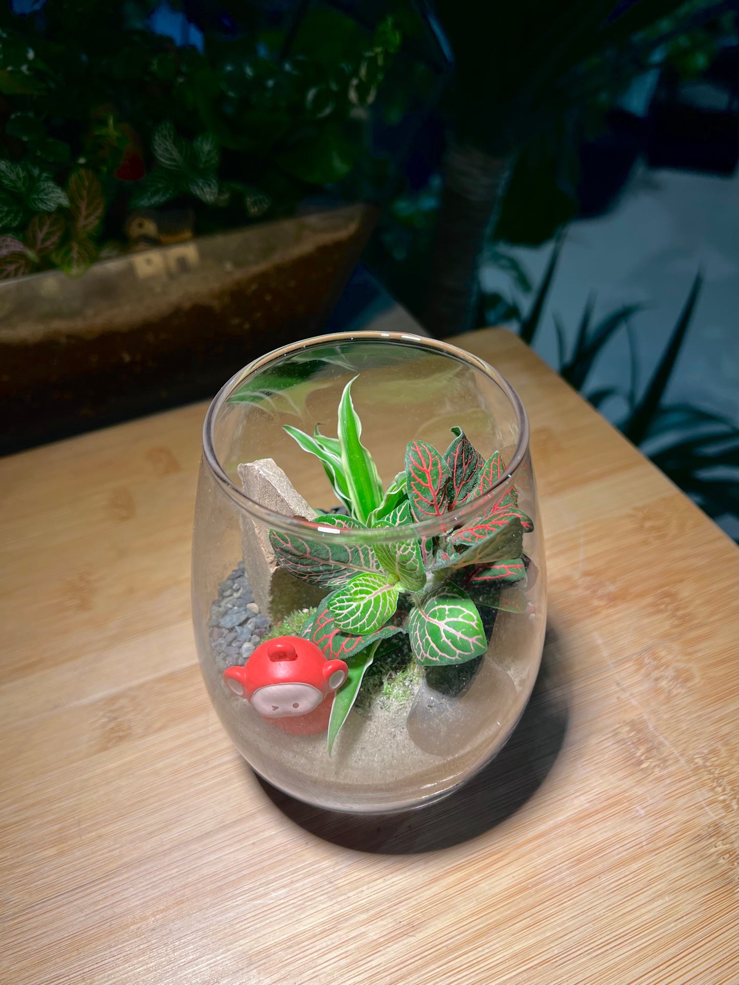 Fittonia and Chlorophytum with Moss Arrangement in Tall Glass