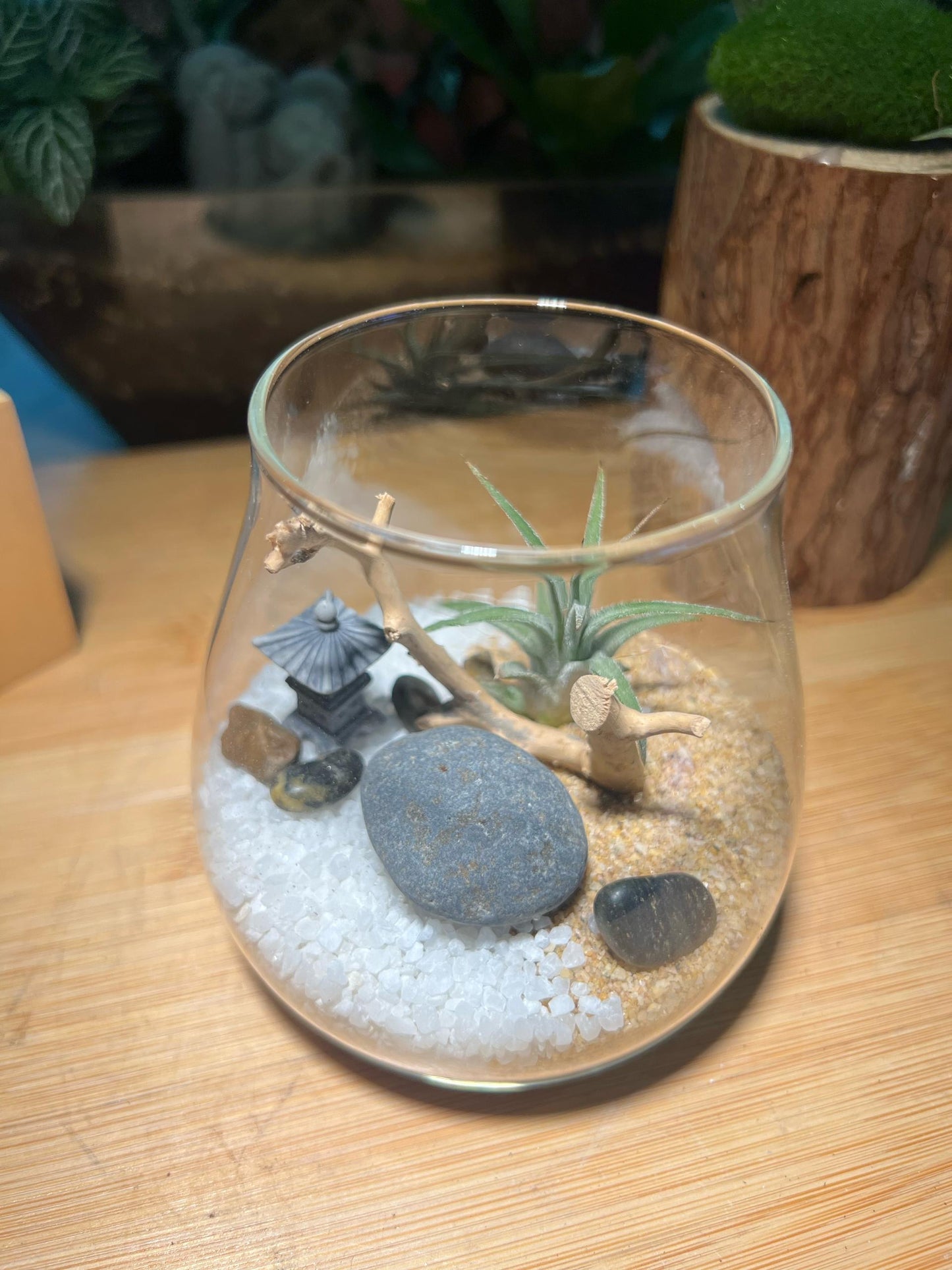Airplant in Round Fuji Glass