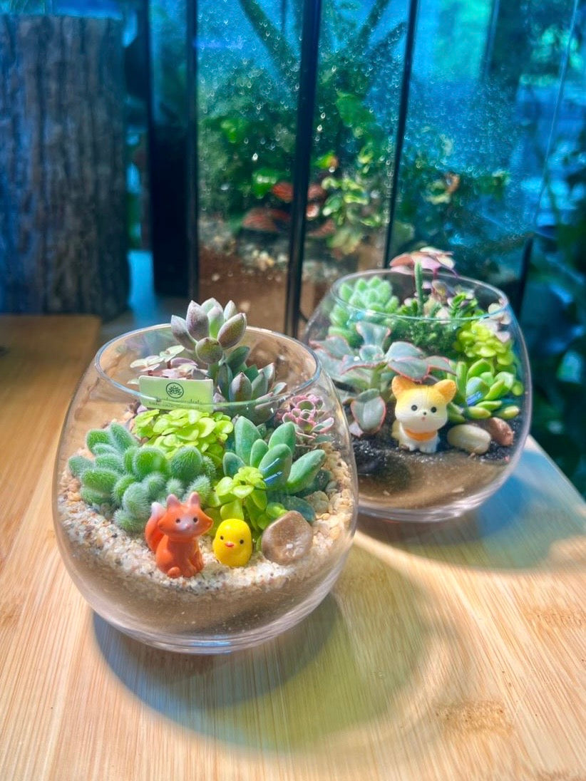 Succulent Arrangement in Crystal Glass Terrarium