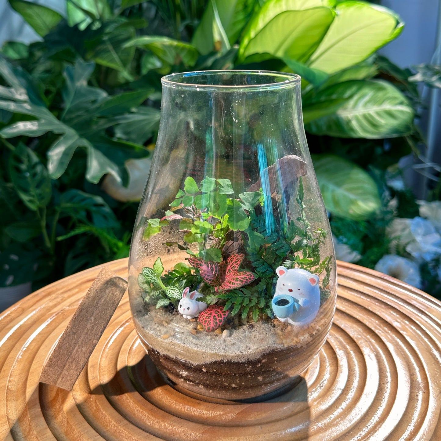 Fittonia & Fern Arrangement in Cover Long Jar Glass