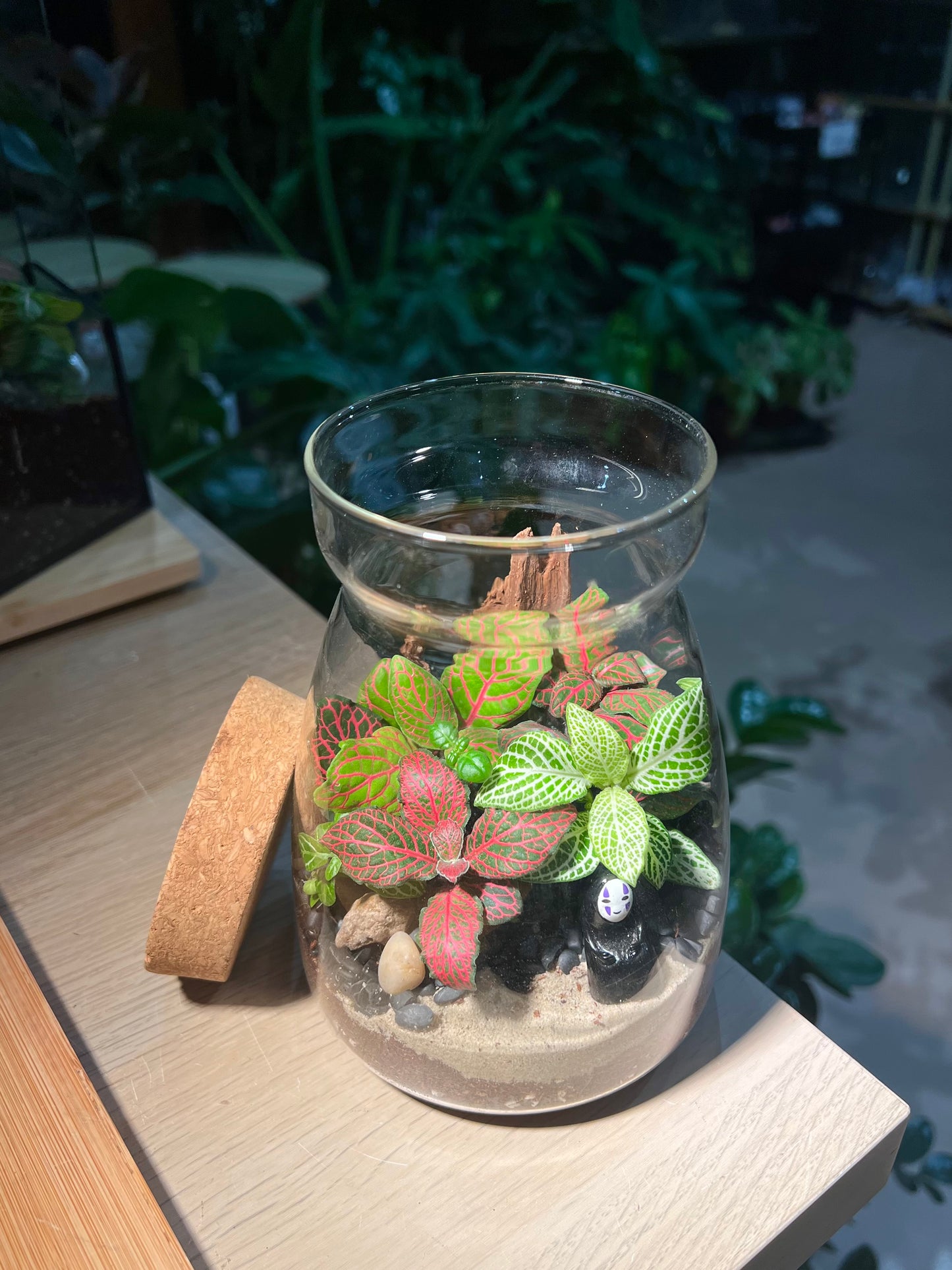 Fittonia (Indoor Plant) Arrangement in Cover A Line Jar Glass Terrarium