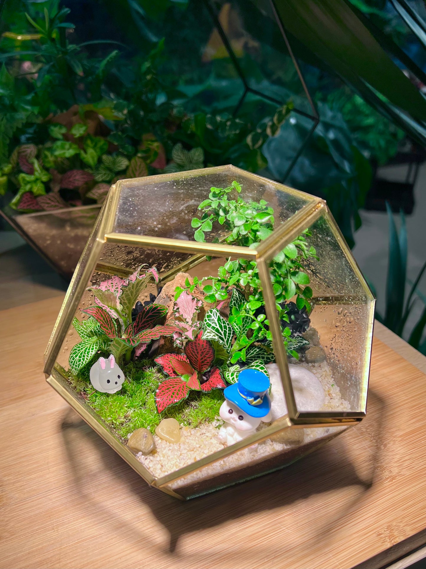 Fittonia and Bonsai with Moss Arrangement in Golden Frame Nonagon Glass (M)