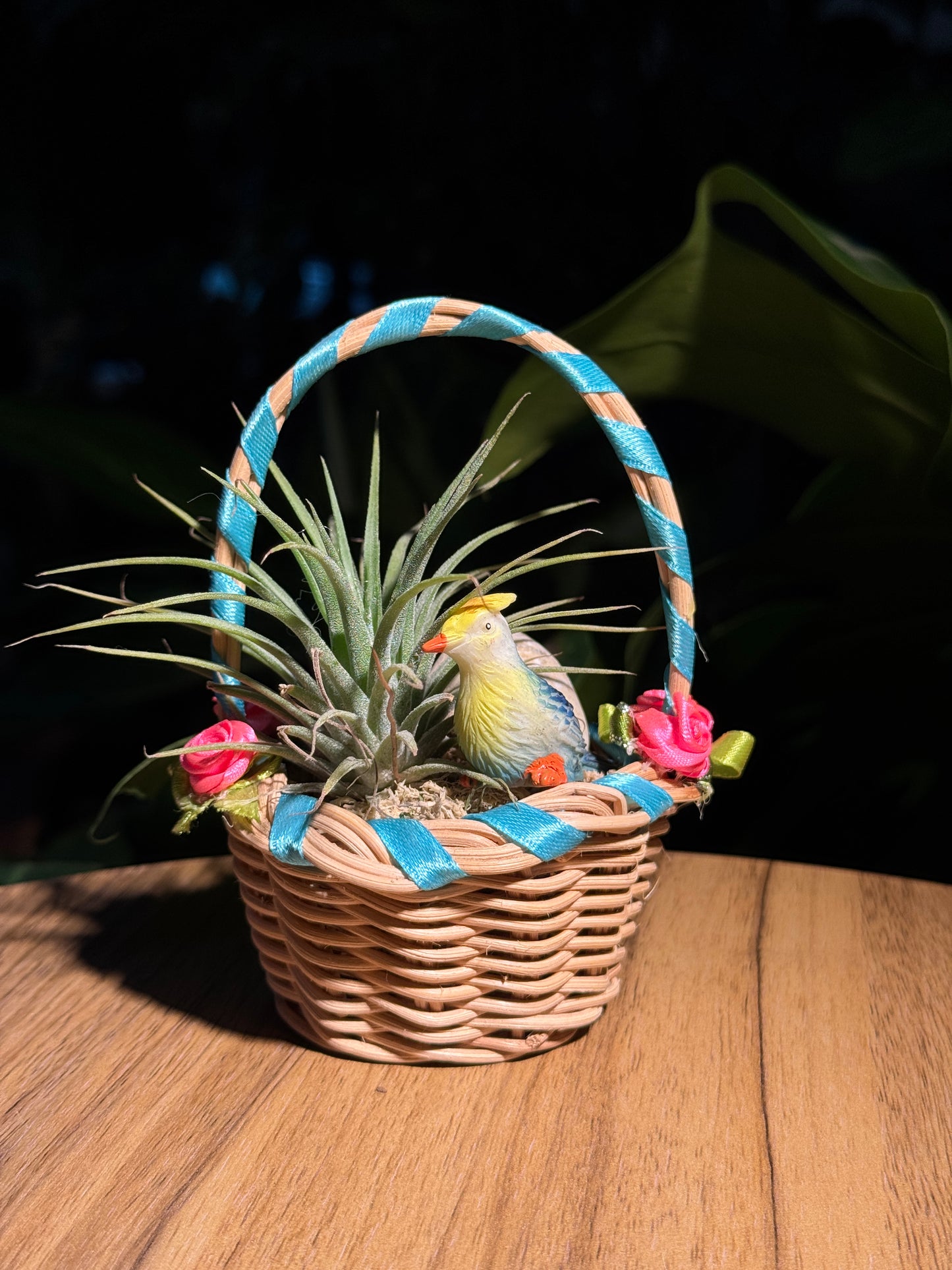 Airplant Basket
