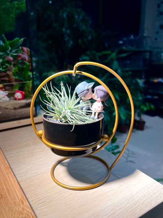 Valentine Gift - Airplant in Swinging Pot