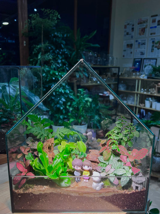 Valentine Gift - Fittonia, Staghorn Fern, Bird Nest Fern and Moss Arrangement in House Shape Aqua Glass