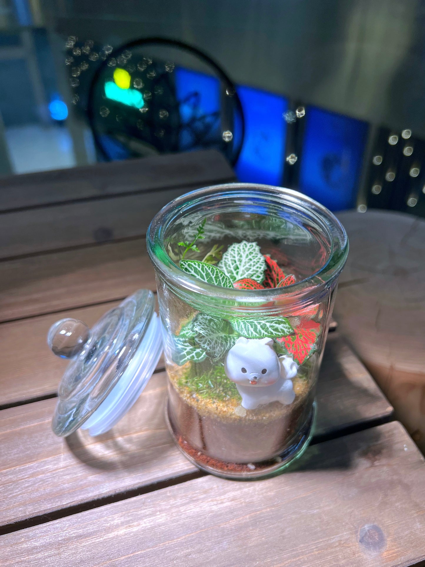 Fittonia with Moss Arrangement in Terrarium Jar (M)