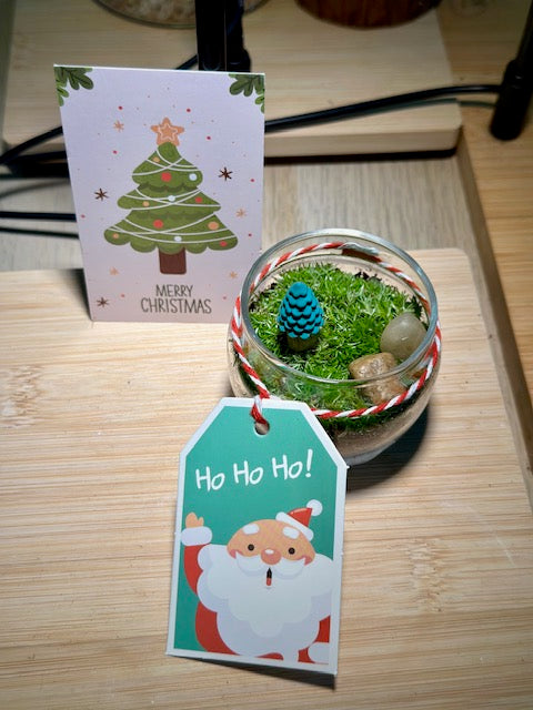 Christmas Moss Garden in Tea Glass with Holiday Card